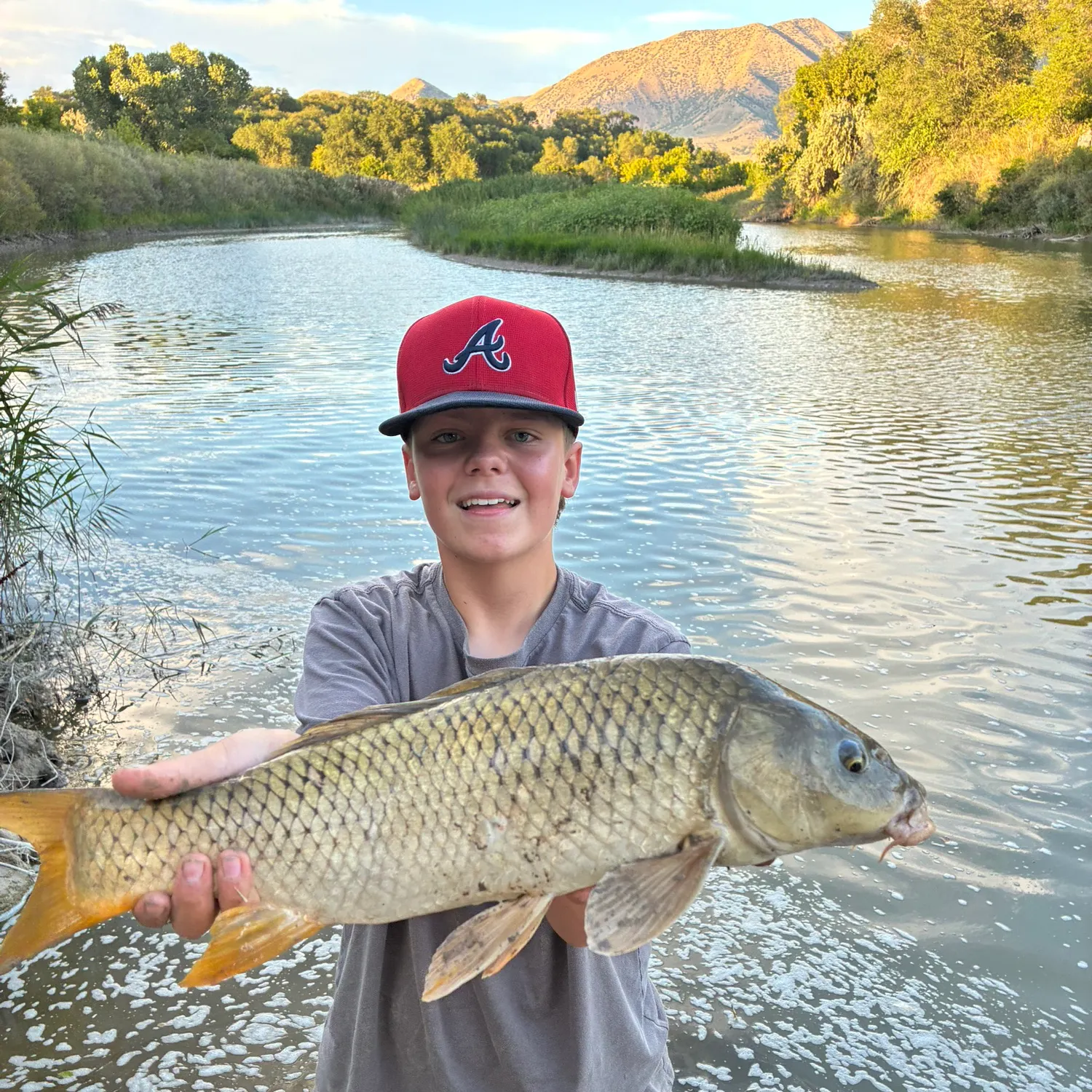 Common carp caught on Fishbrain