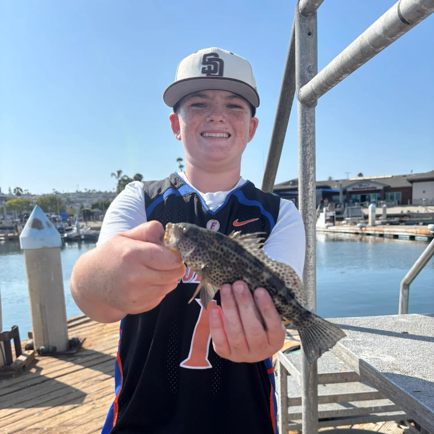 Spotted sand bass caught on Fishbrain