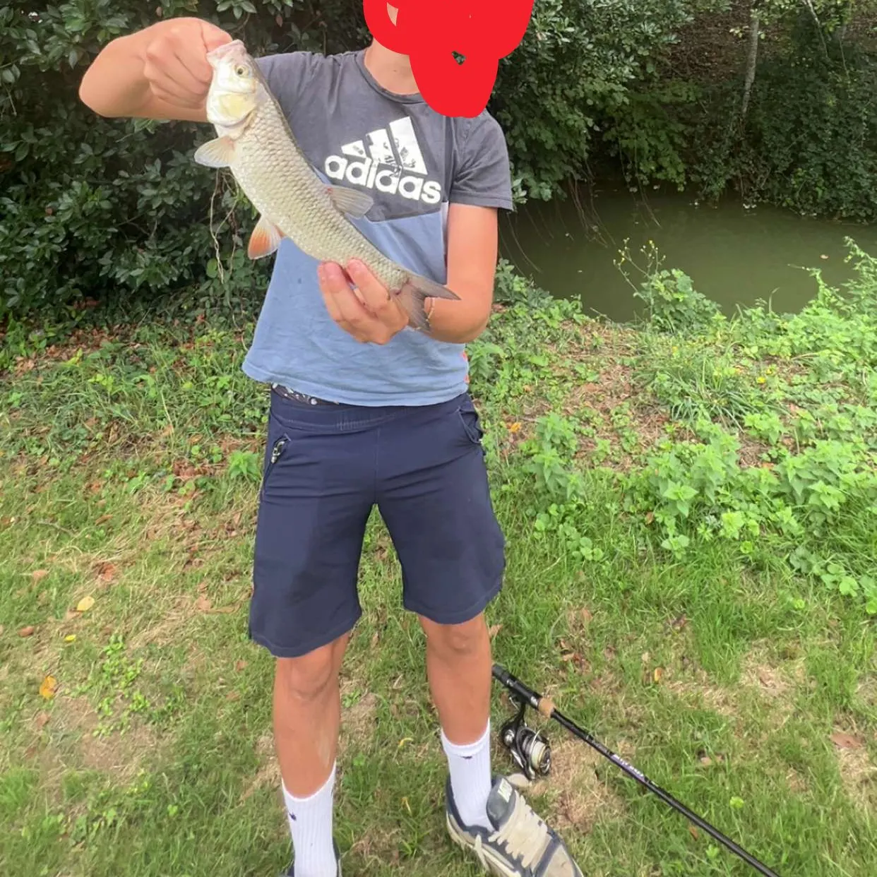 European chub caught on Fishbrain