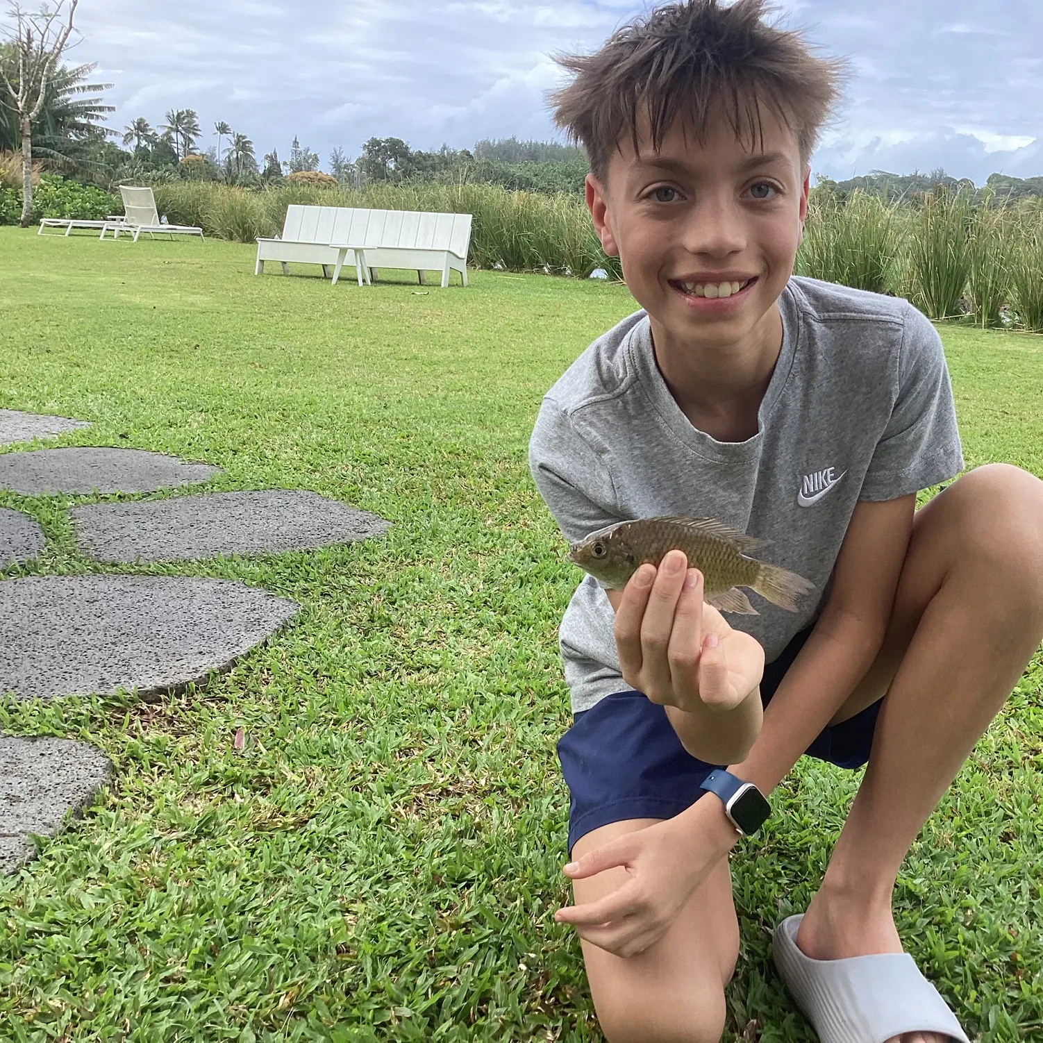 The most recent Blackchin tilapia catches on Fishbrain