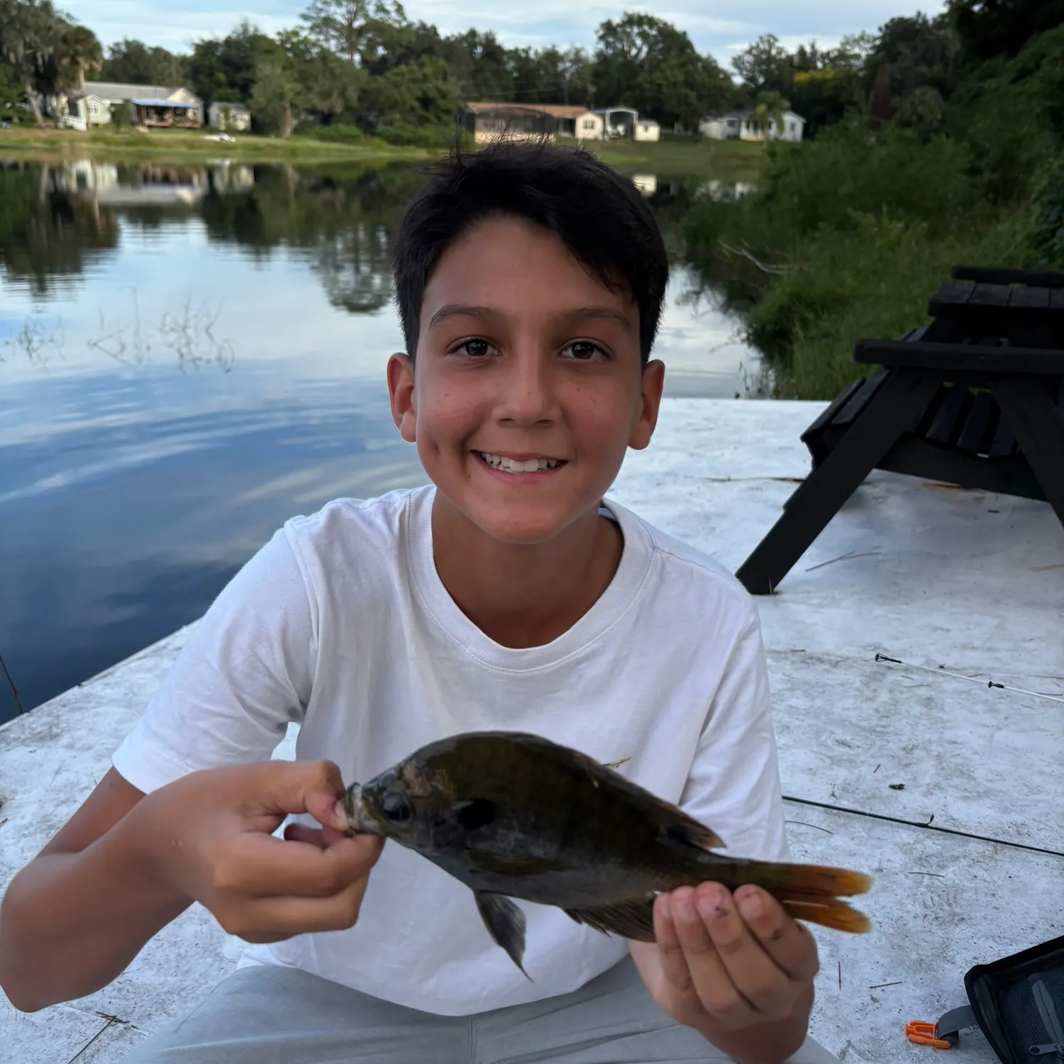 Fish caught on Fishbrain