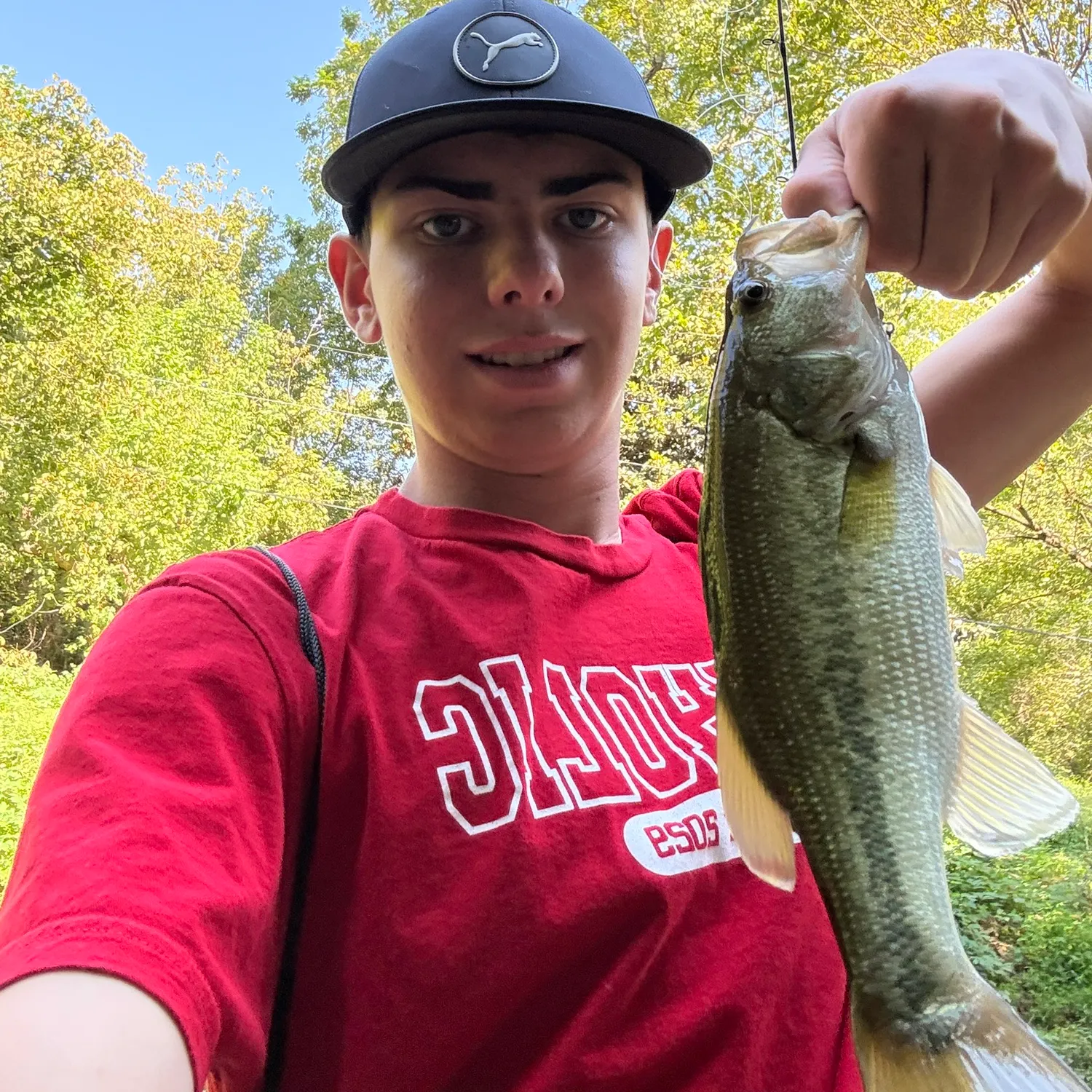Largemouth bass caught on Fishbrain