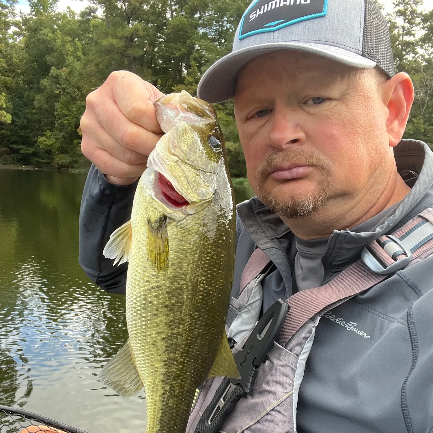 Largemouth bass caught on Fishbrain