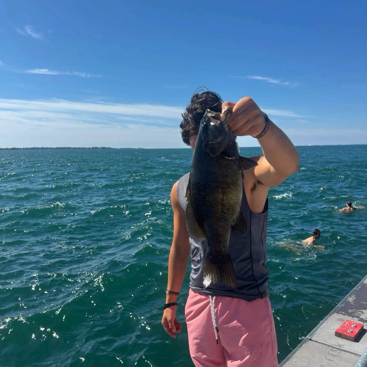 Smallmouth bass caught on Fishbrain