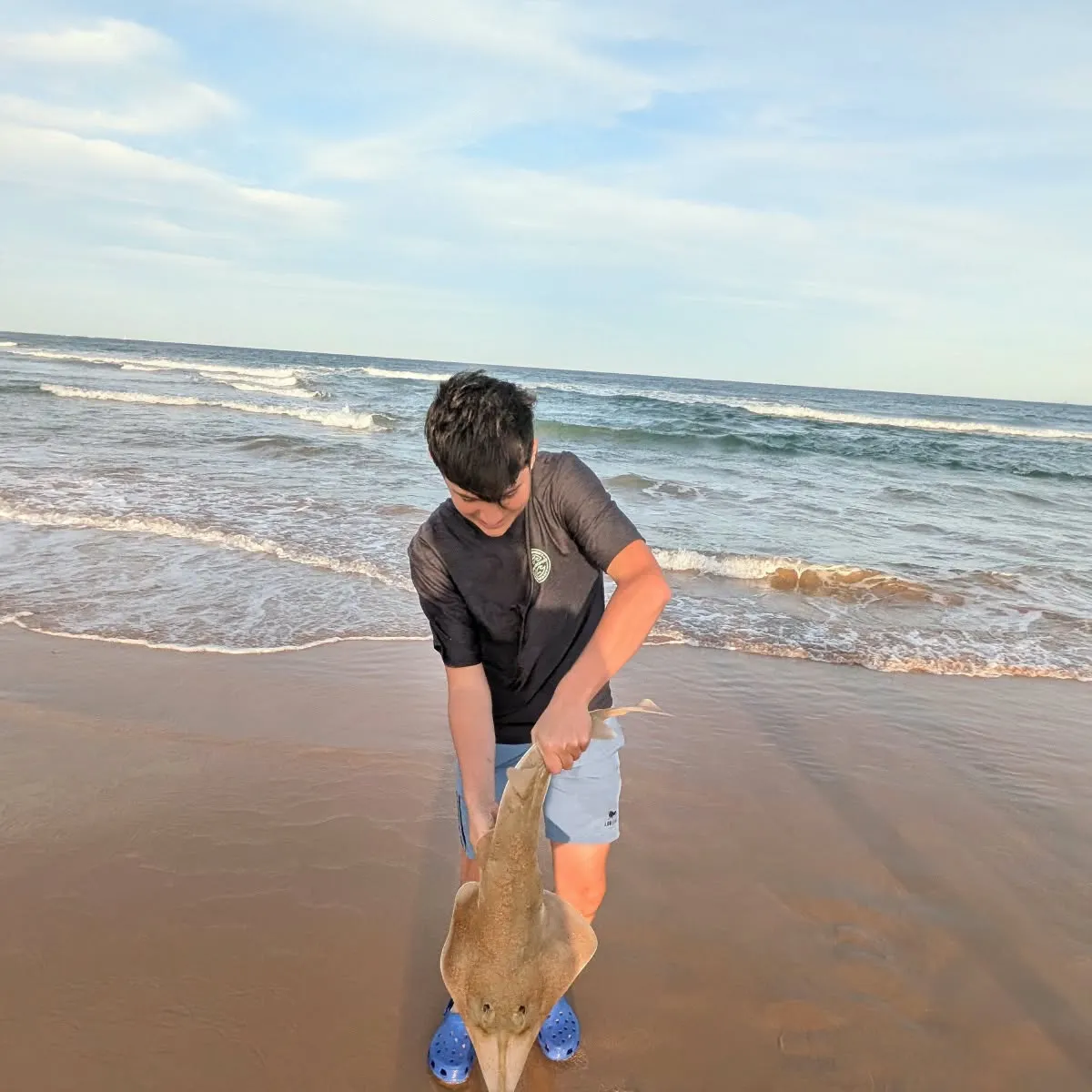 Pacific shovelnose guitarfish caught on Fishbrain