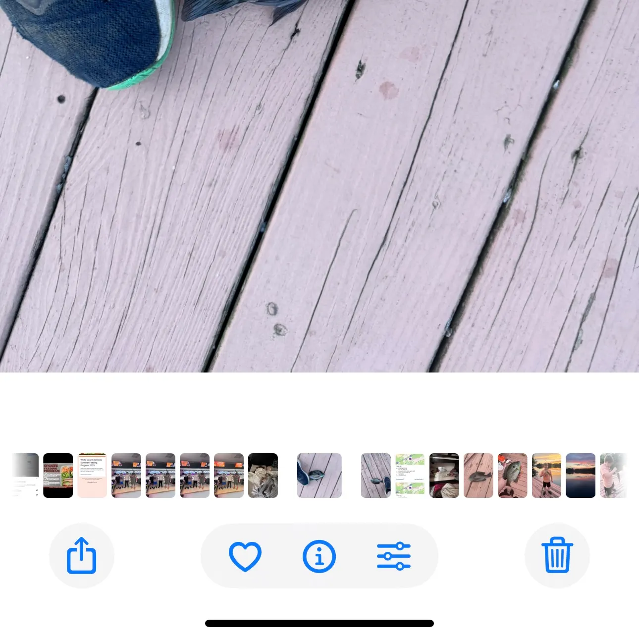 recently logged catches