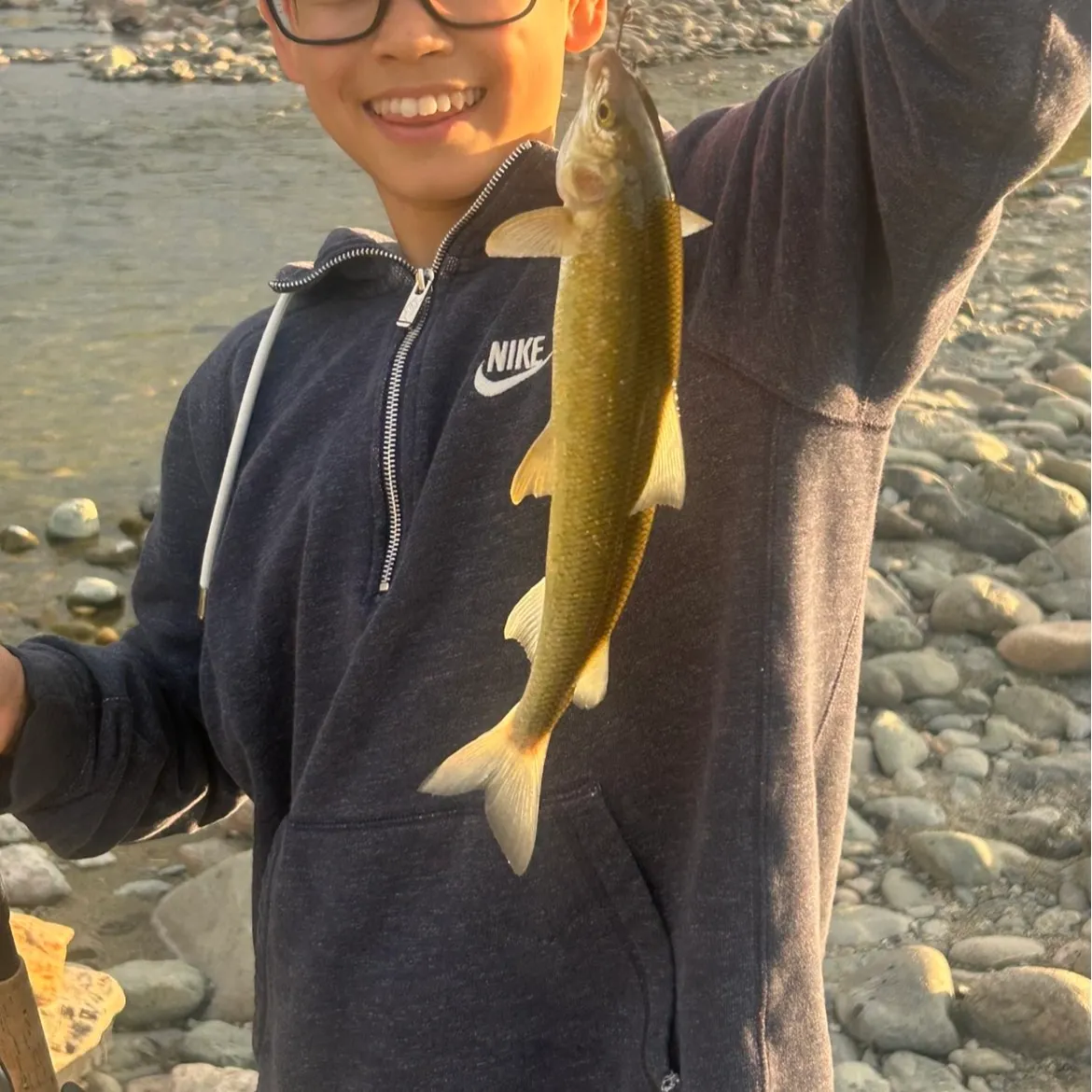 Mountain whitefish caught on Fishbrain
