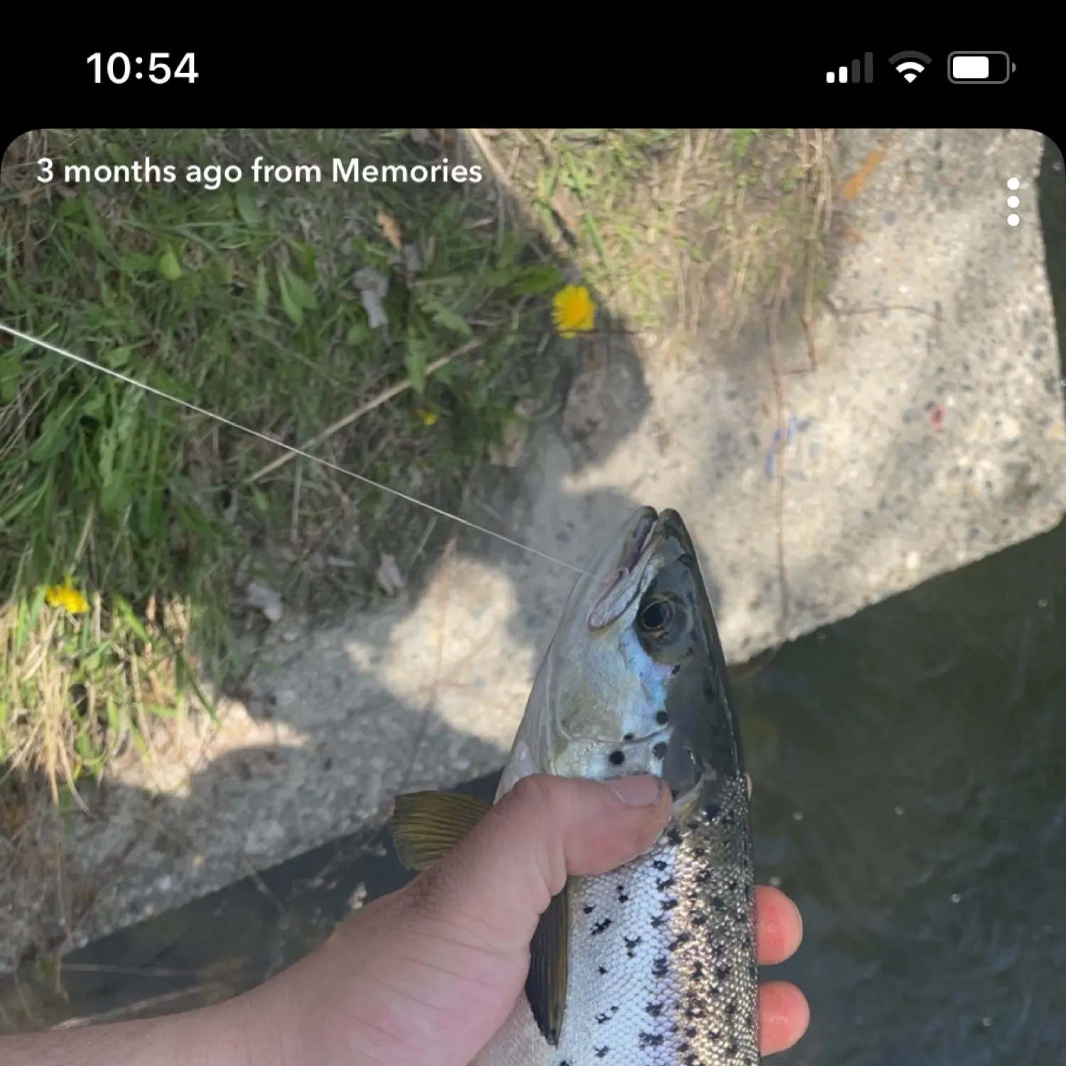 recently logged catches