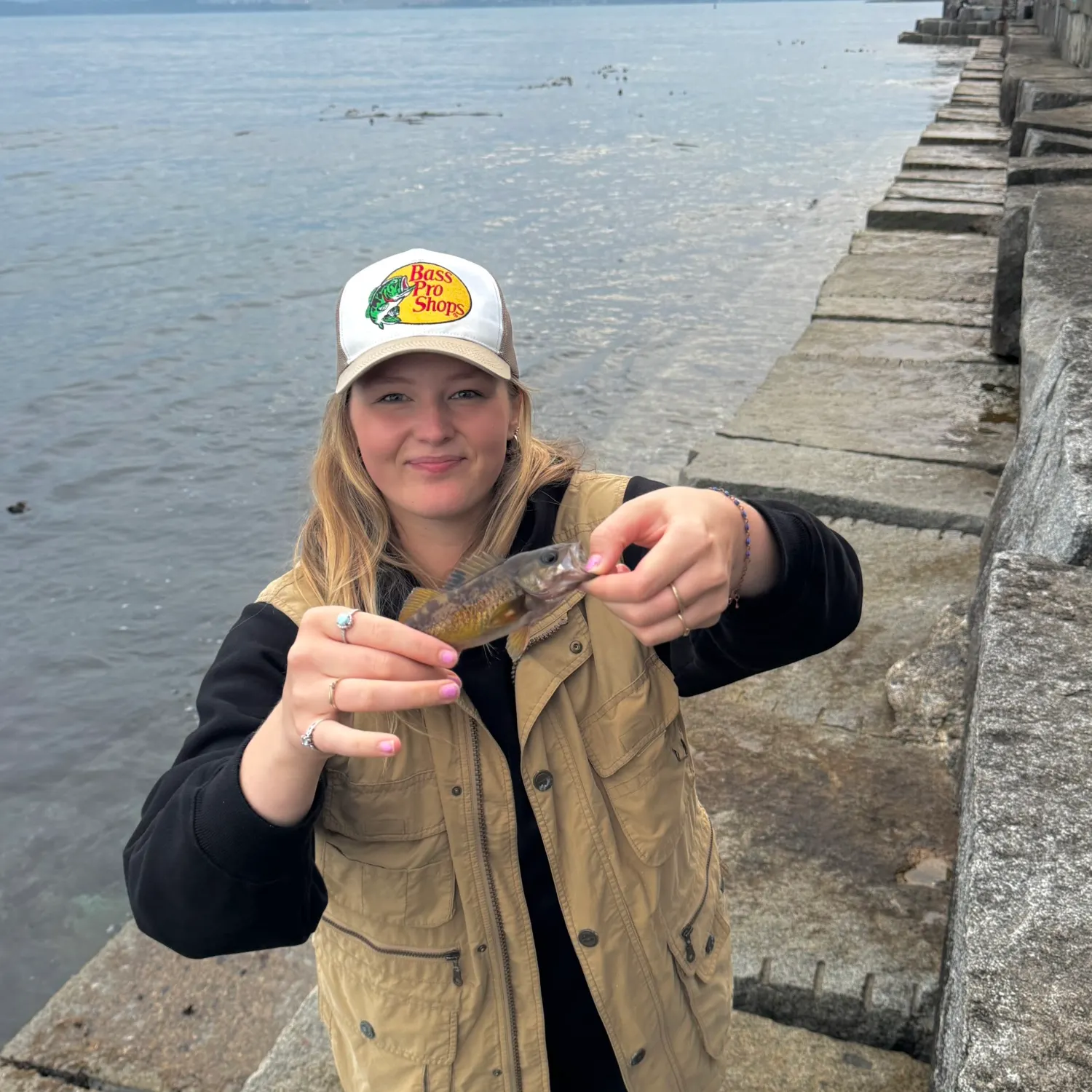 The most recent Pacific cod catches on Fishbrain