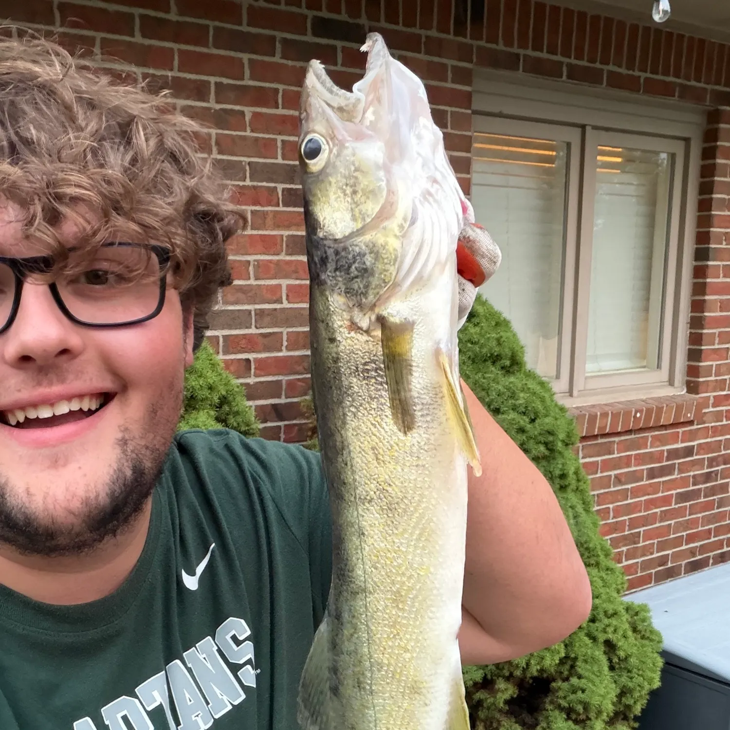 The most recent Walleye catches on Fishbrain