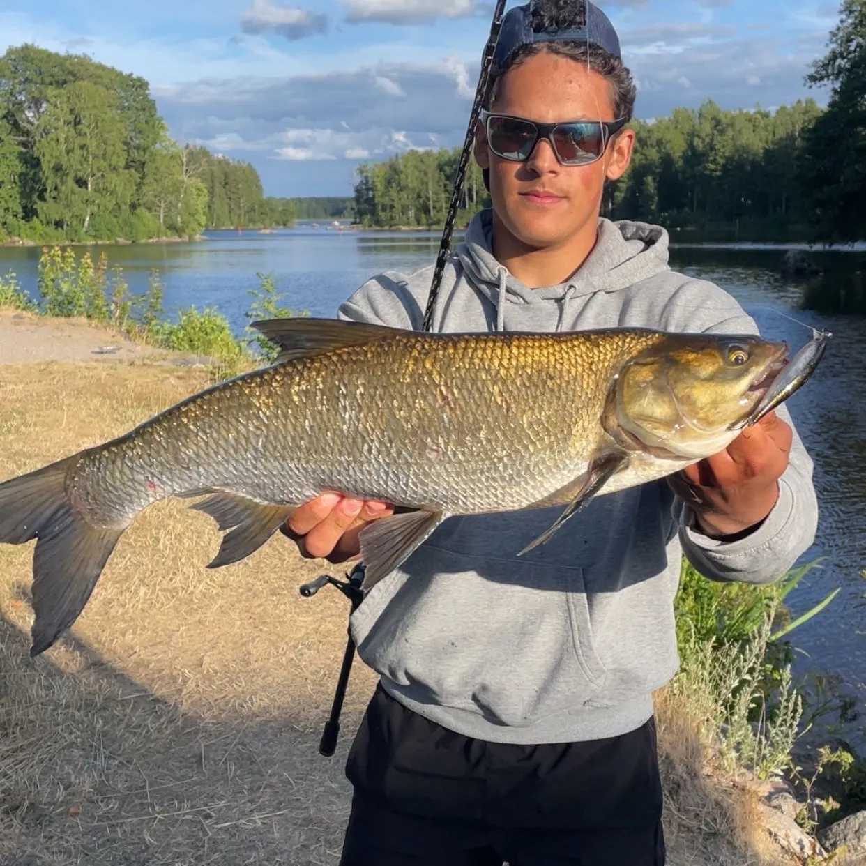 The most recent Asp catches on Fishbrain