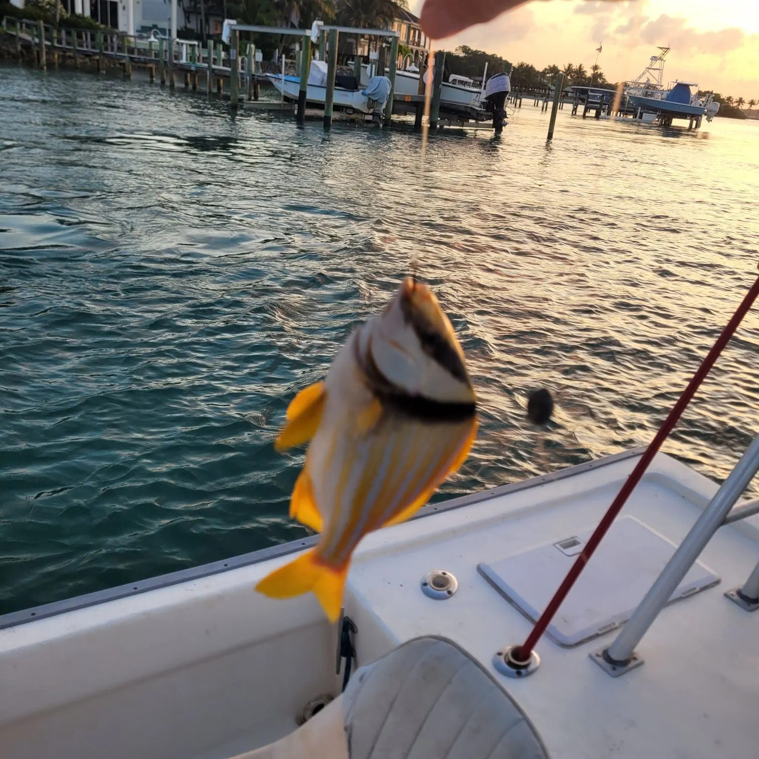 catch