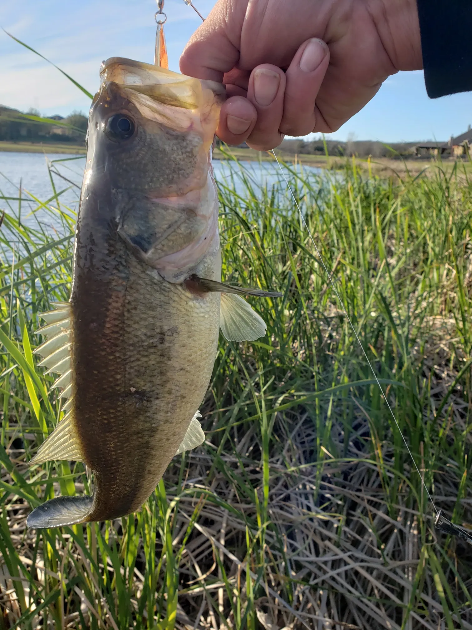 Post image from Annihilator_Crader