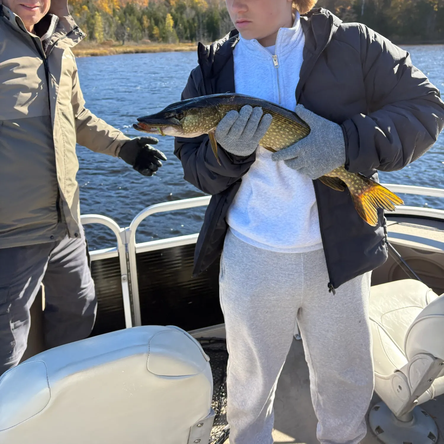 Northern pike caught on Fishbrain