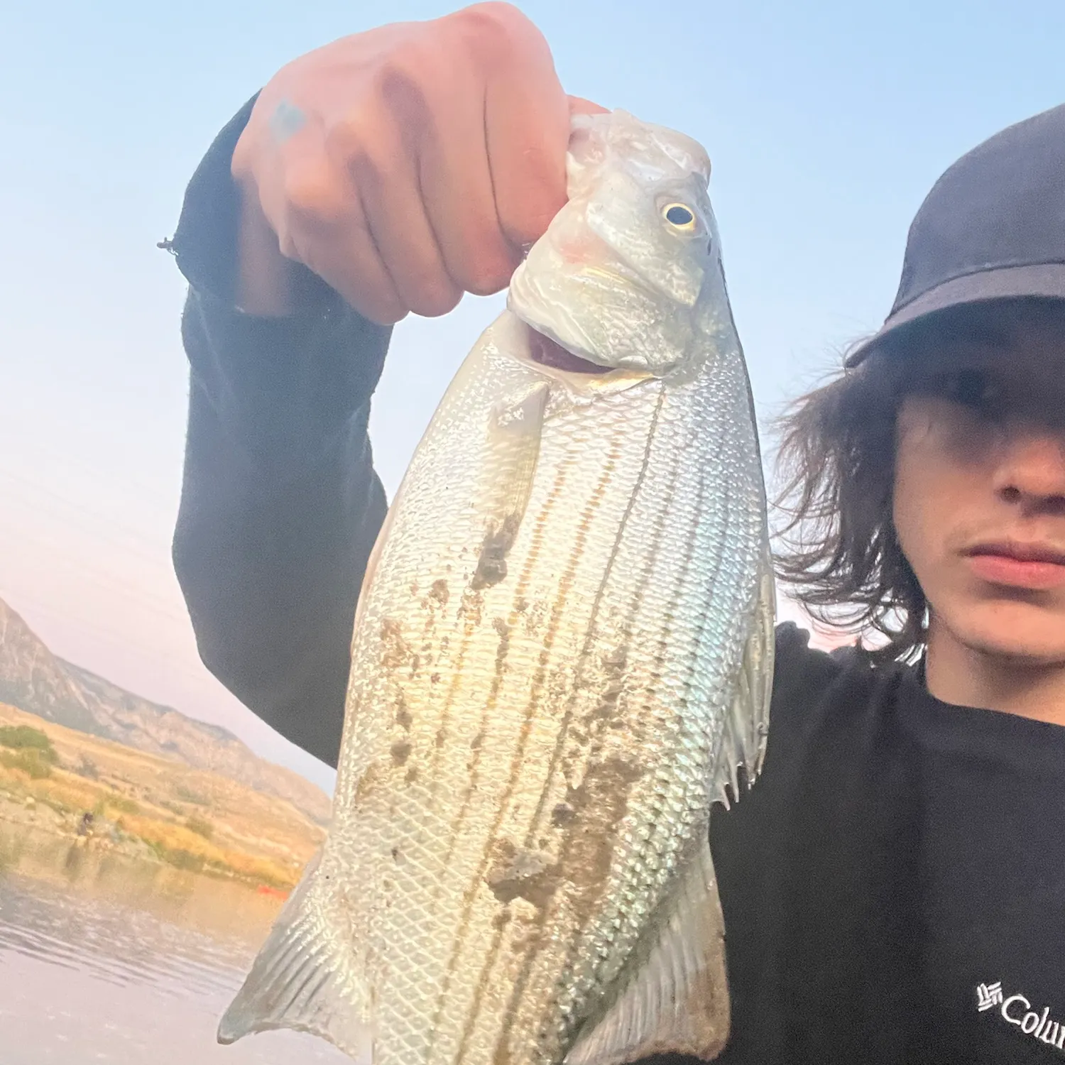 Wiper caught on Fishbrain