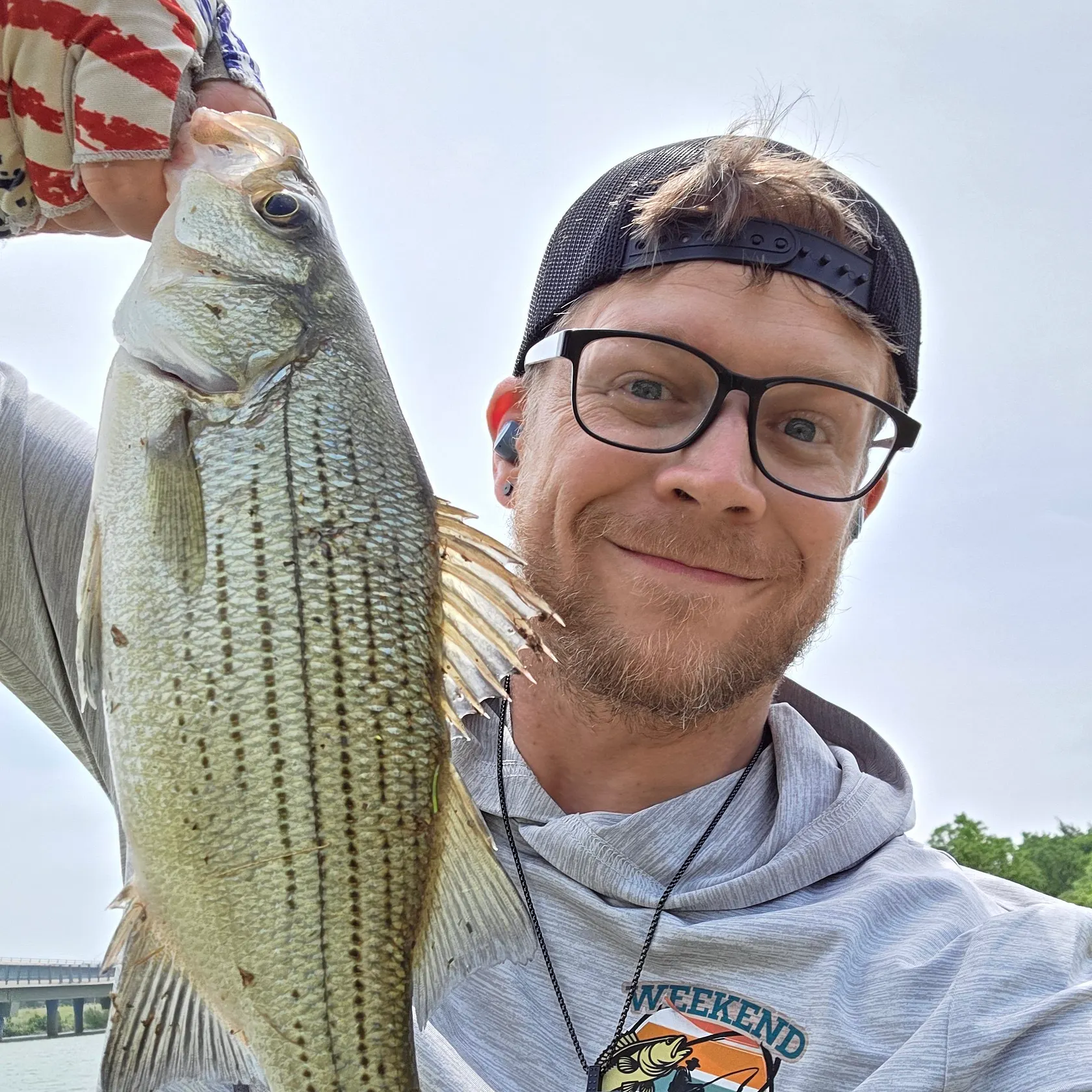 The most recent White bass catches on Fishbrain