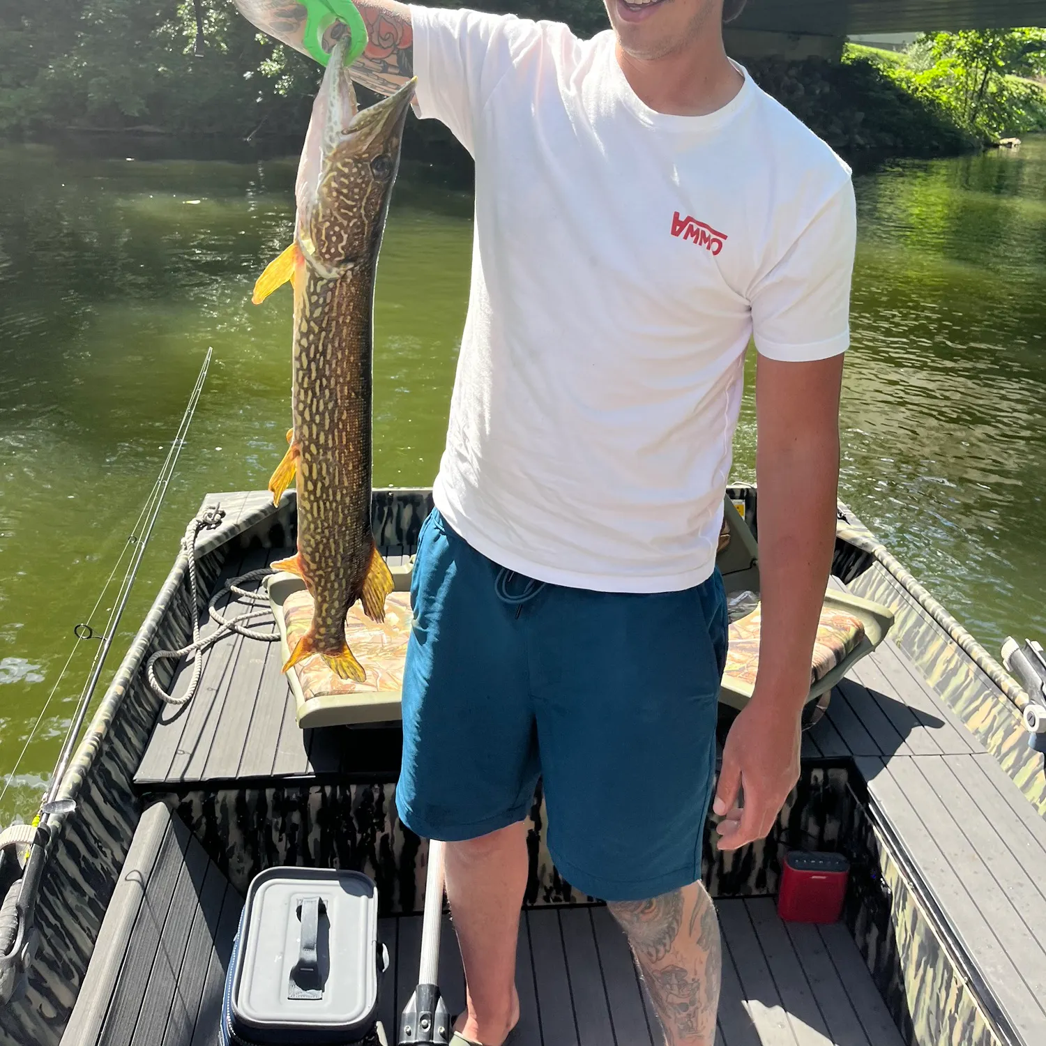 recently logged catches