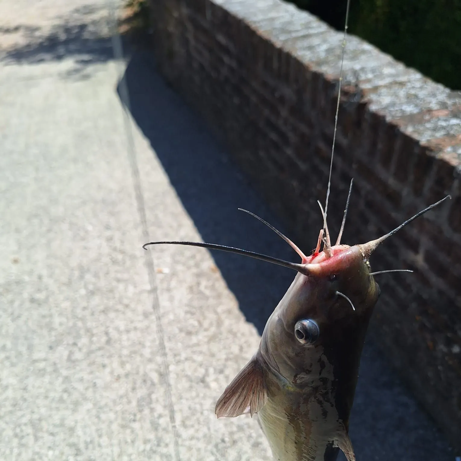 catch