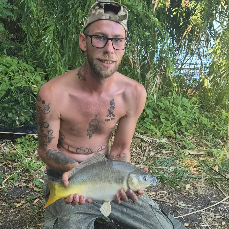 Leather carp caught on Fishbrain