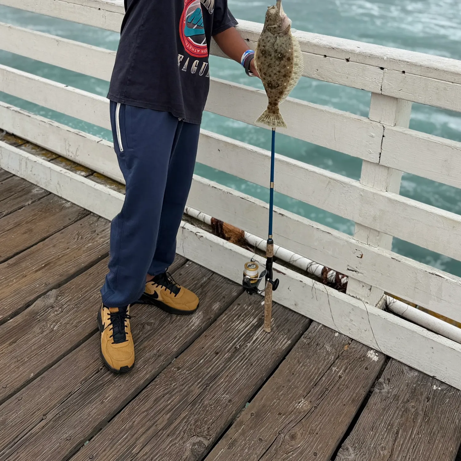 The most recent California halibut catches on Fishbrain