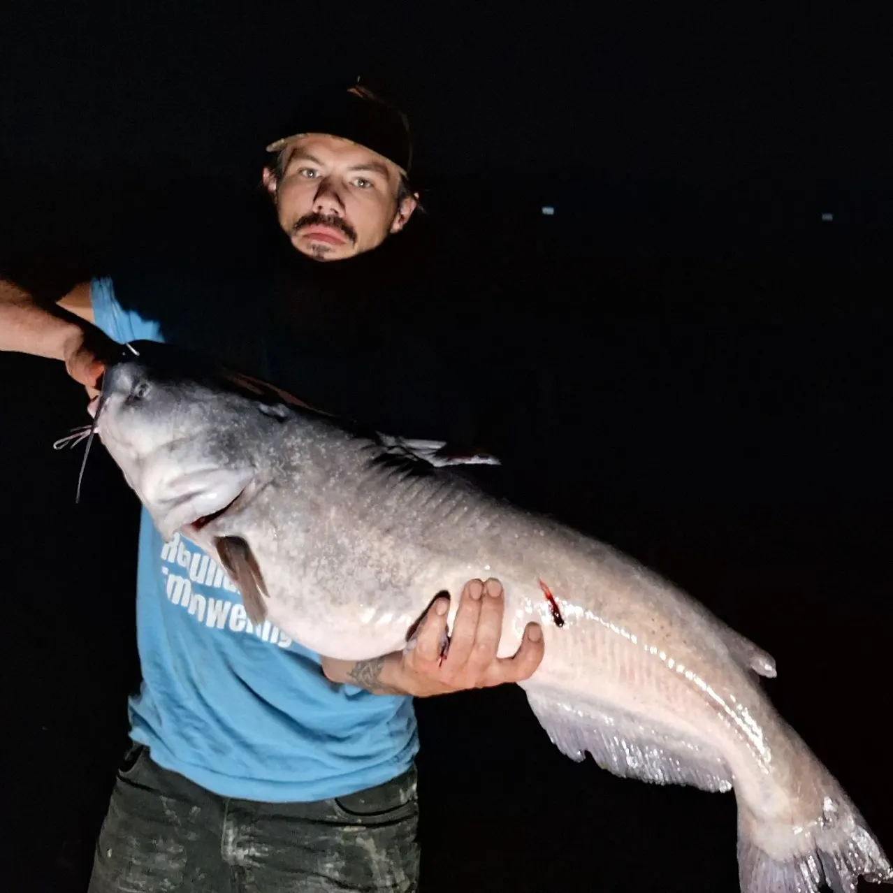 Blue catfish caught on Fishbrain