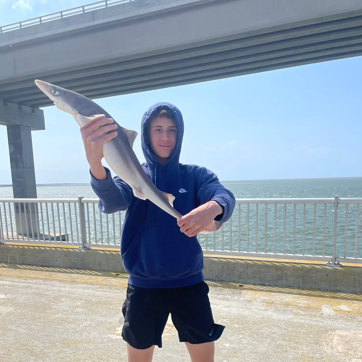 The most recent Pacific spiny dogfish catches on Fishbrain