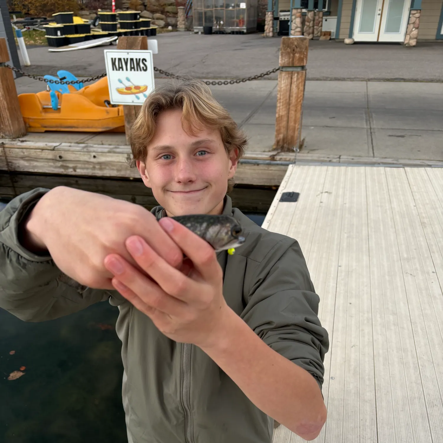 Brook trout caught on Fishbrain