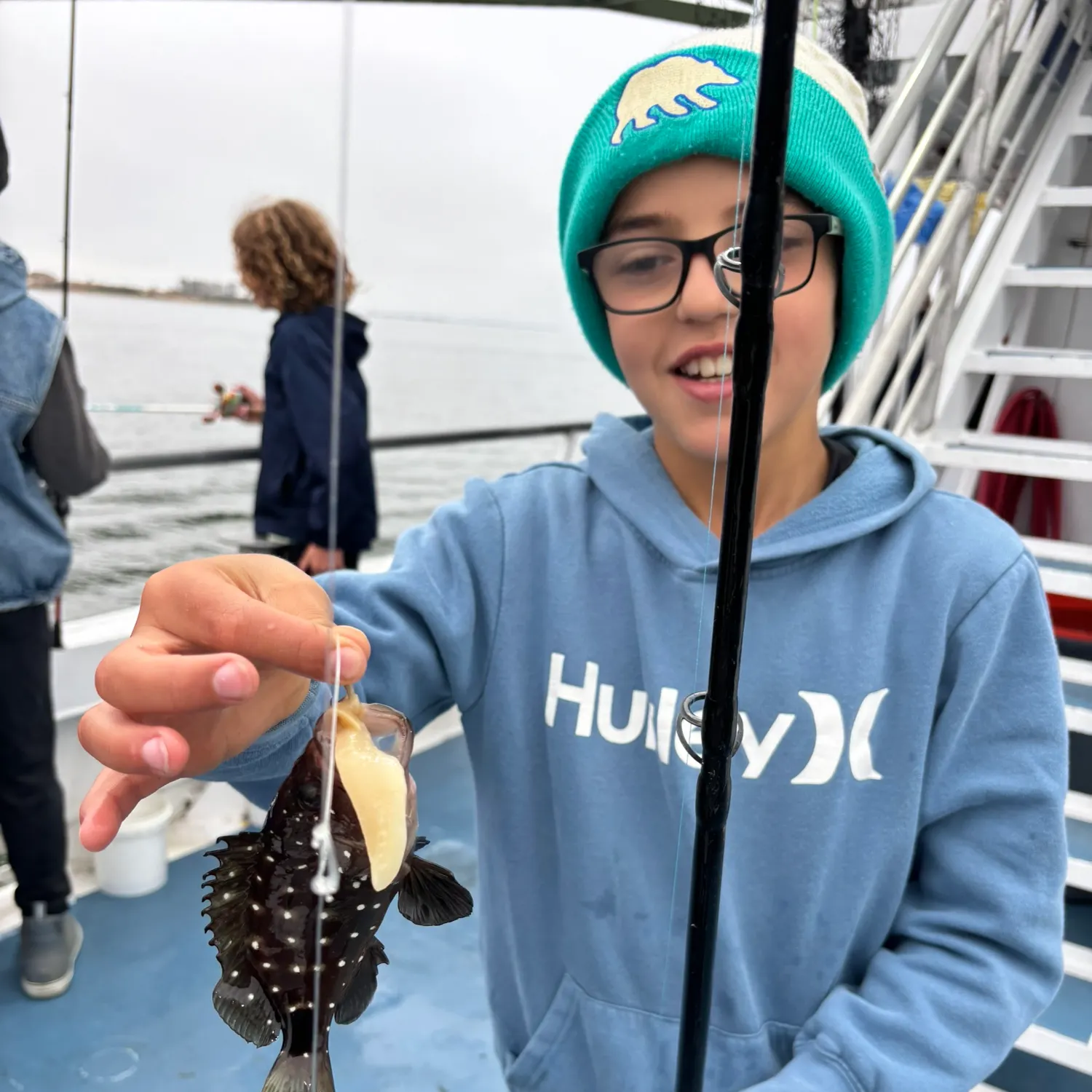 The most recent Whitespotted grouper catches on Fishbrain