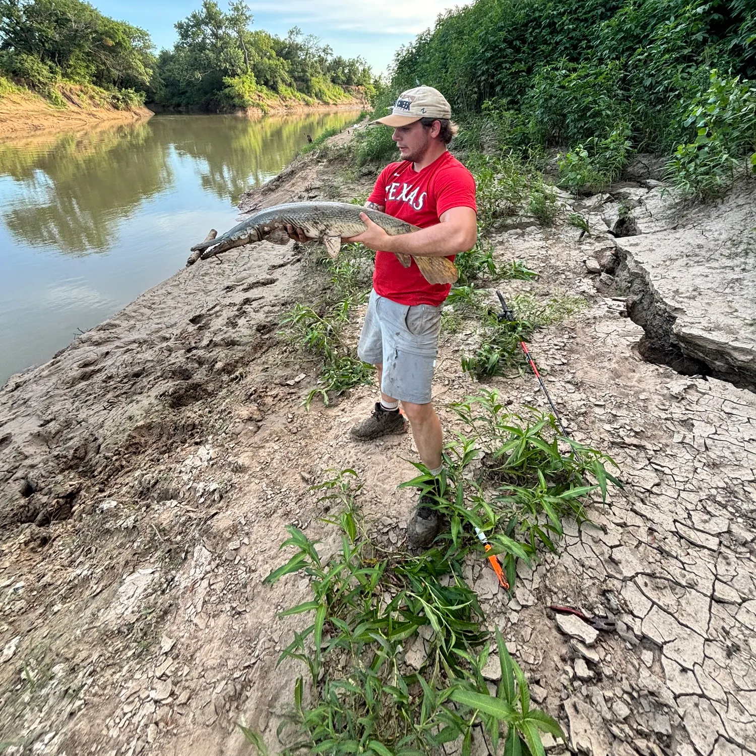 The most recent Alligator gar catches on Fishbrain