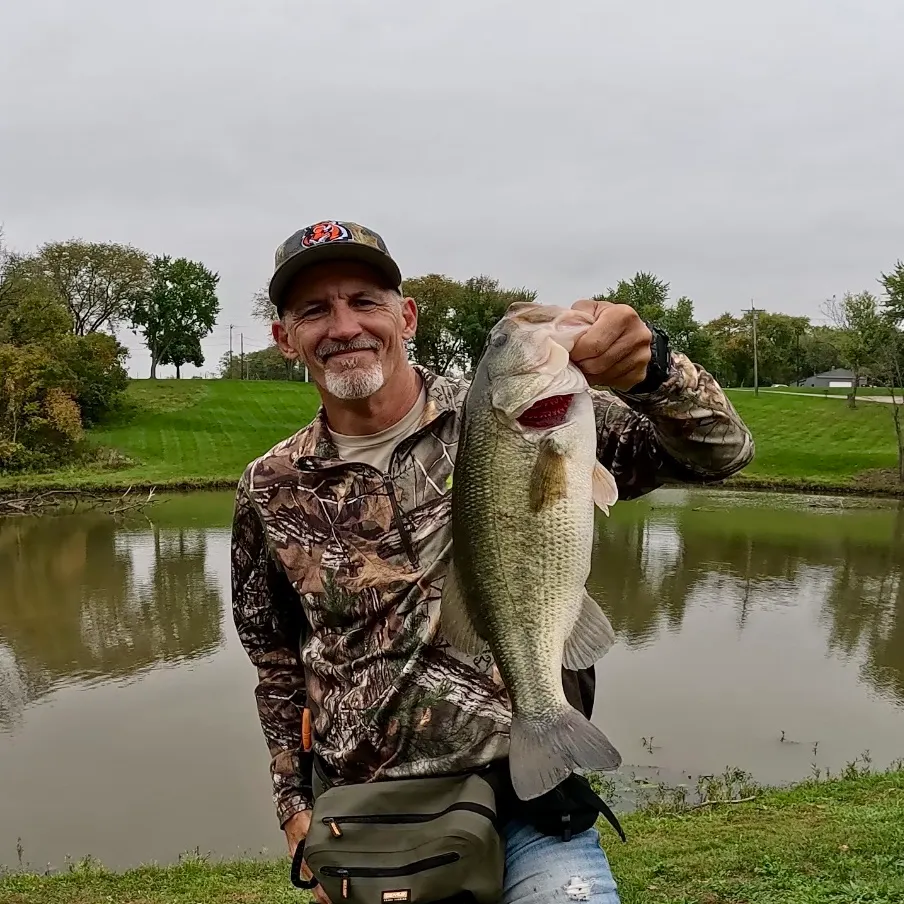 Largemouth bass caught on Fishbrain