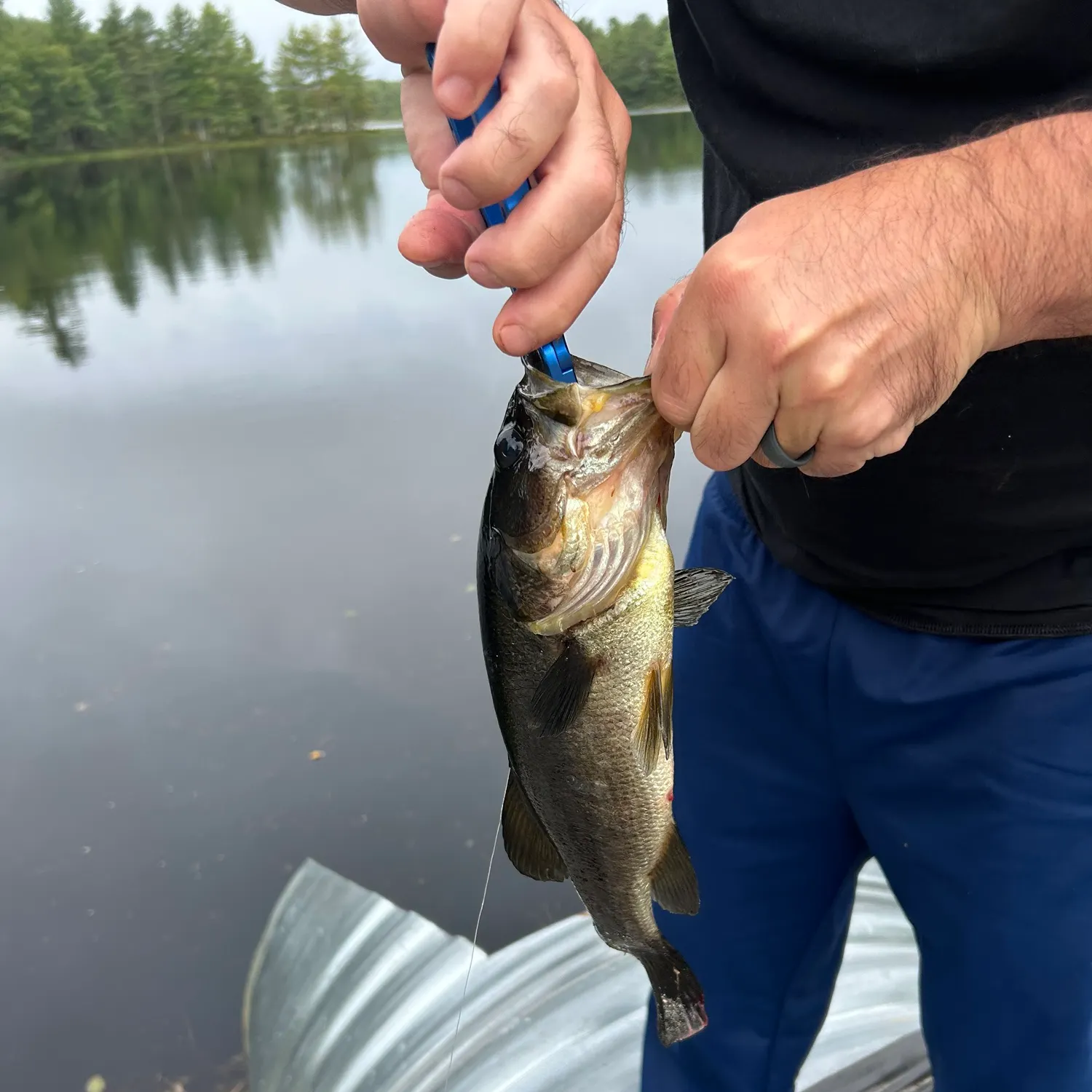 angler catch