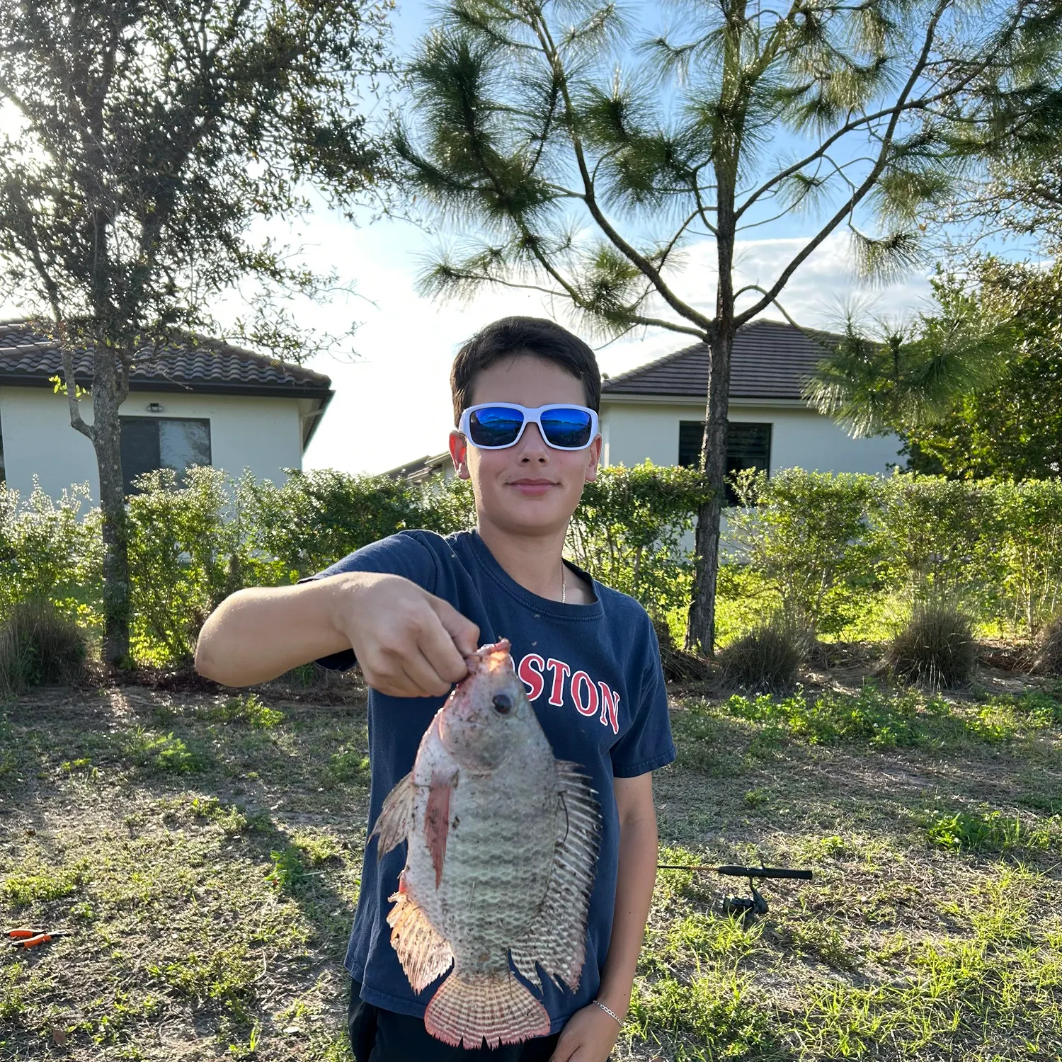 Nile tilapia caught on Fishbrain