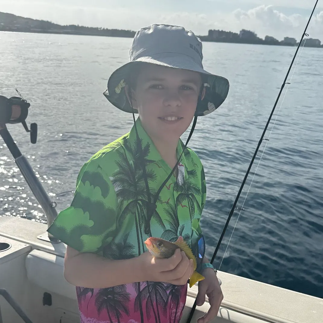 most liked catch image