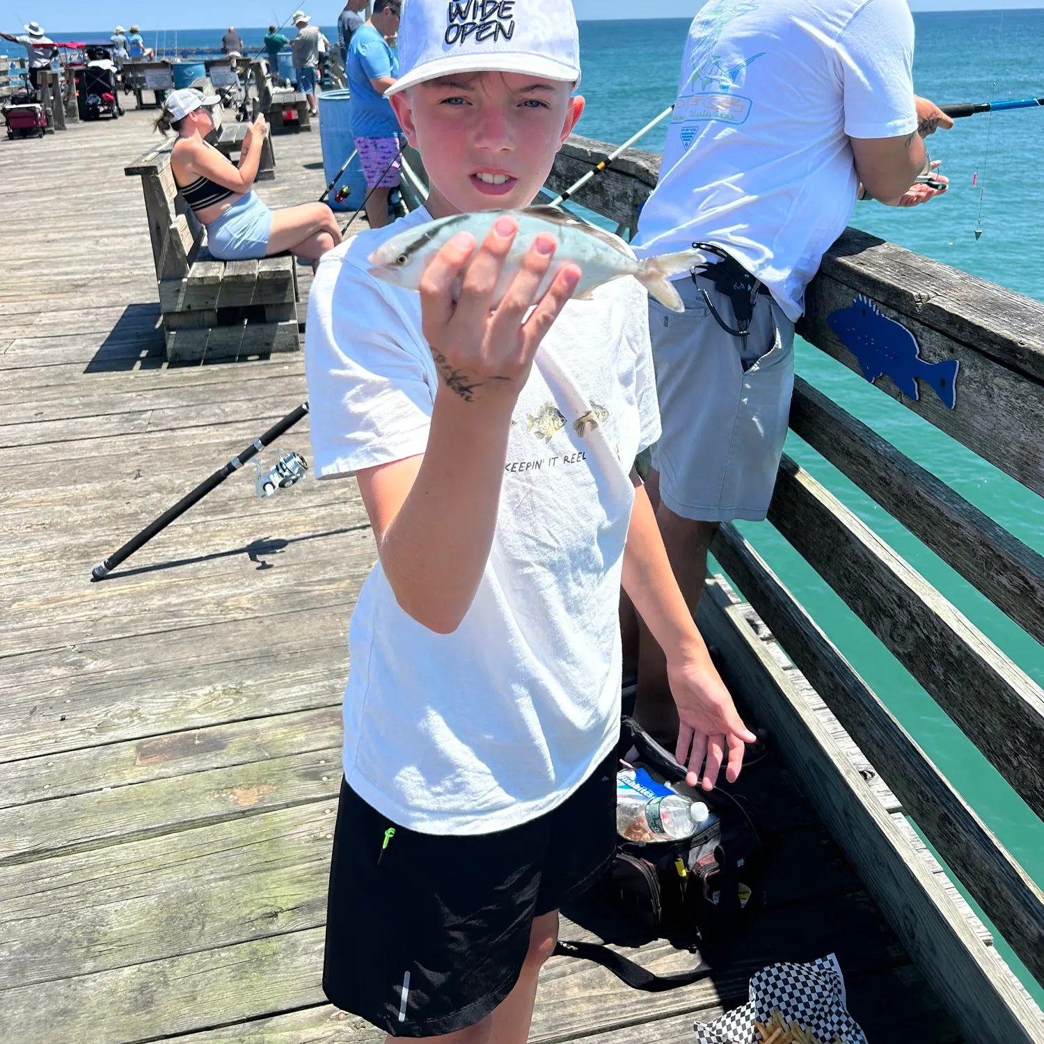 The most recent Banded Rudderfish catches on Fishbrain
