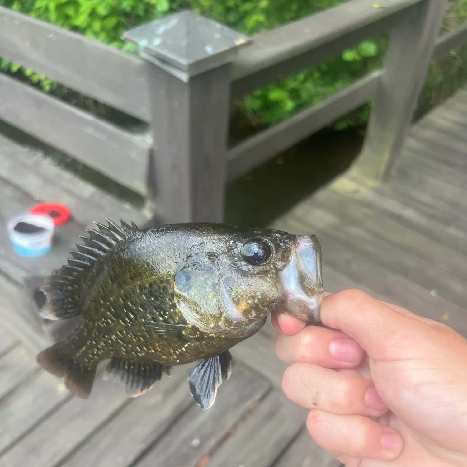 catch