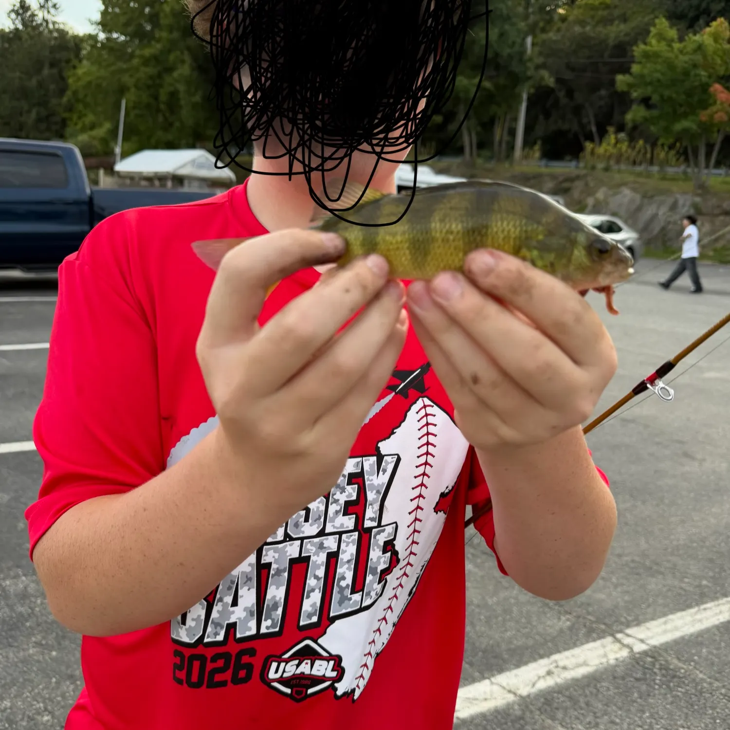Yellow perch caught on Fishbrain