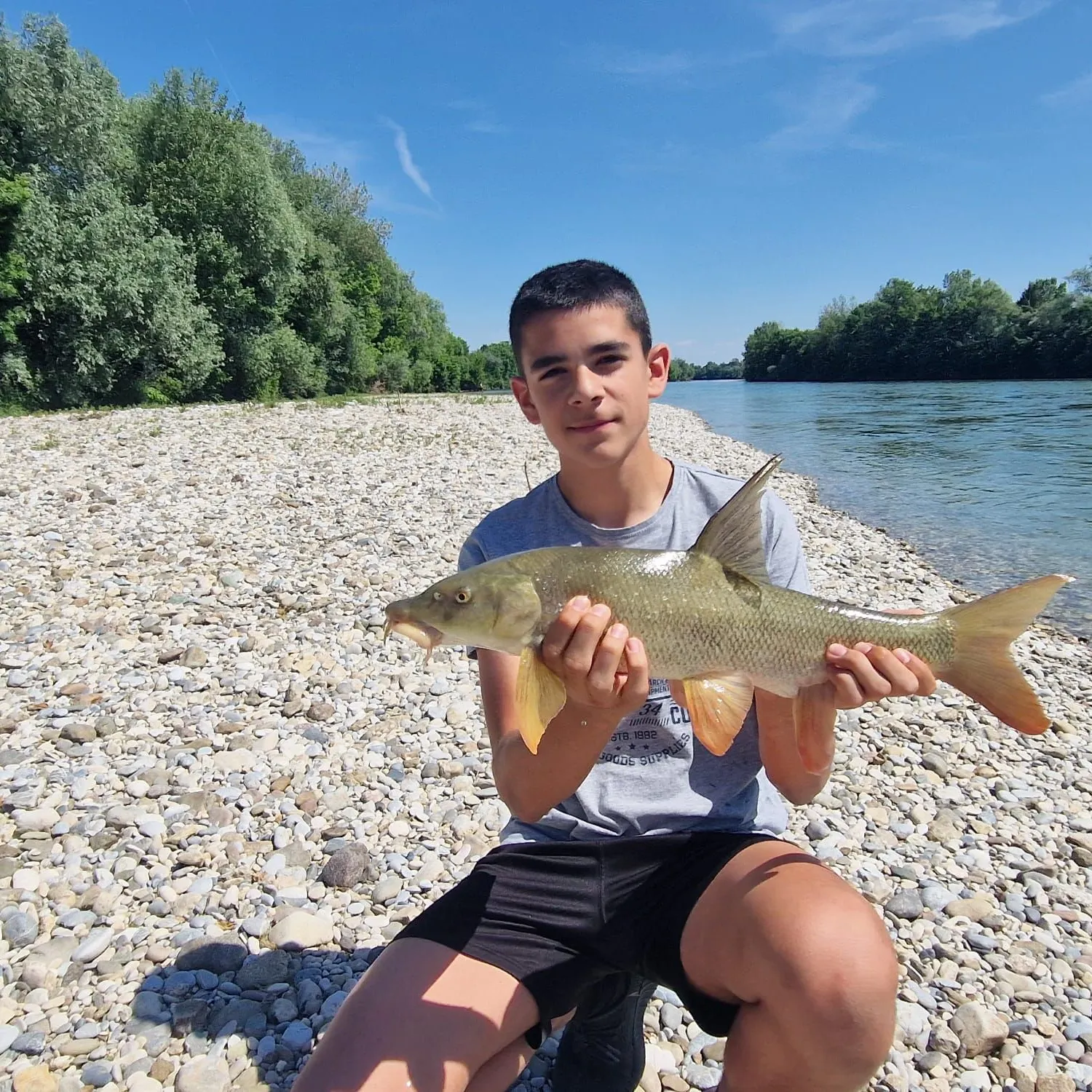 The most recent Common barbel catches on Fishbrain