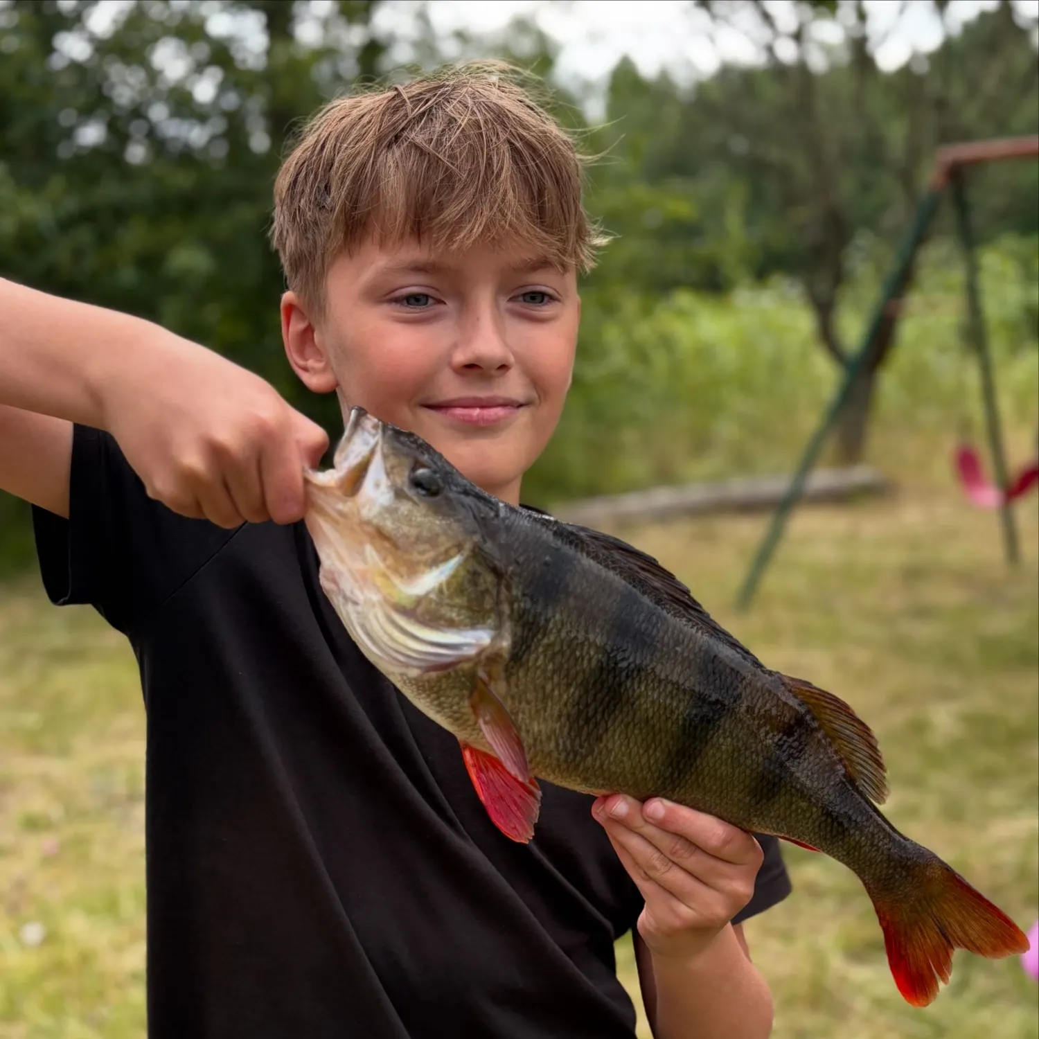 European perch caught on Fishbrain