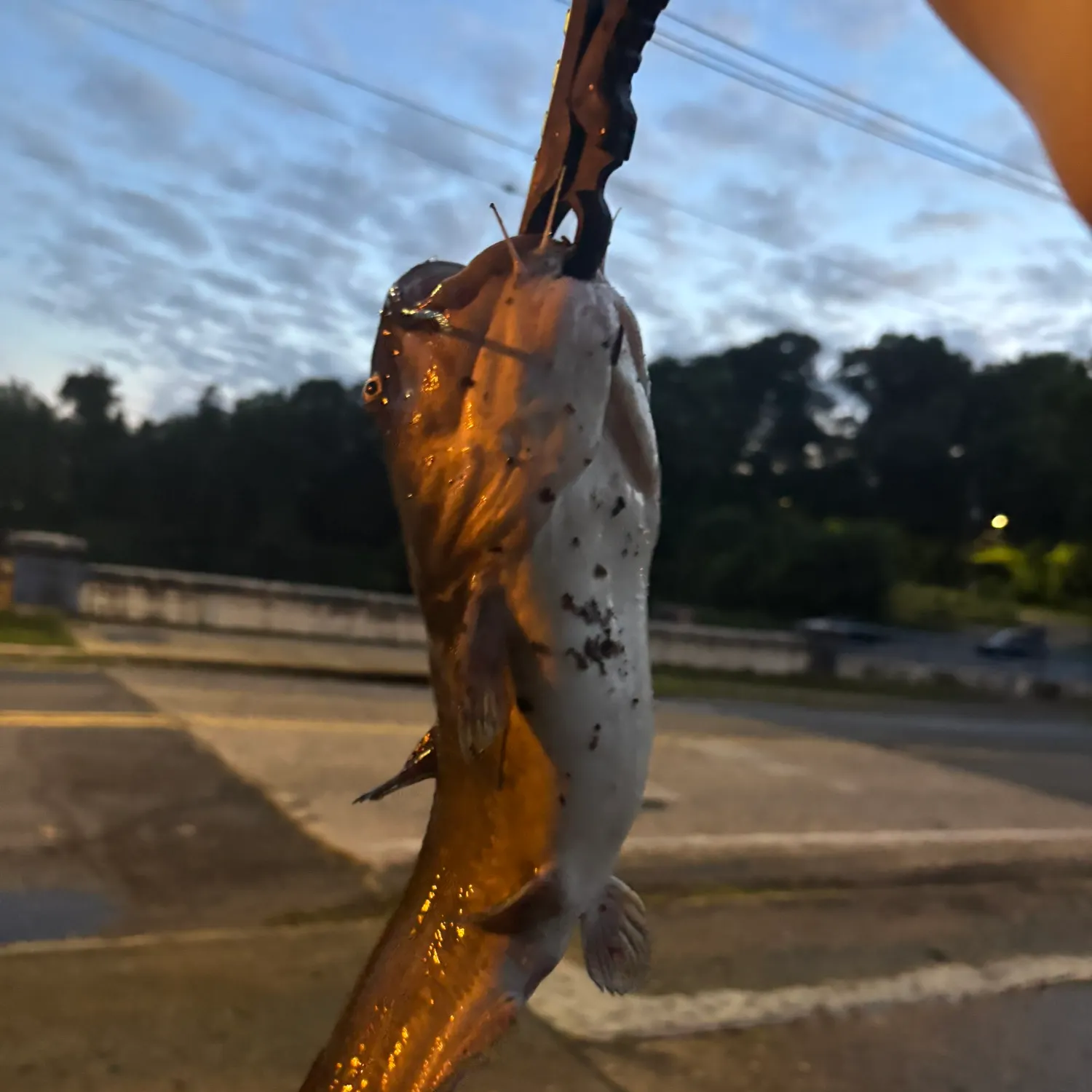 catch