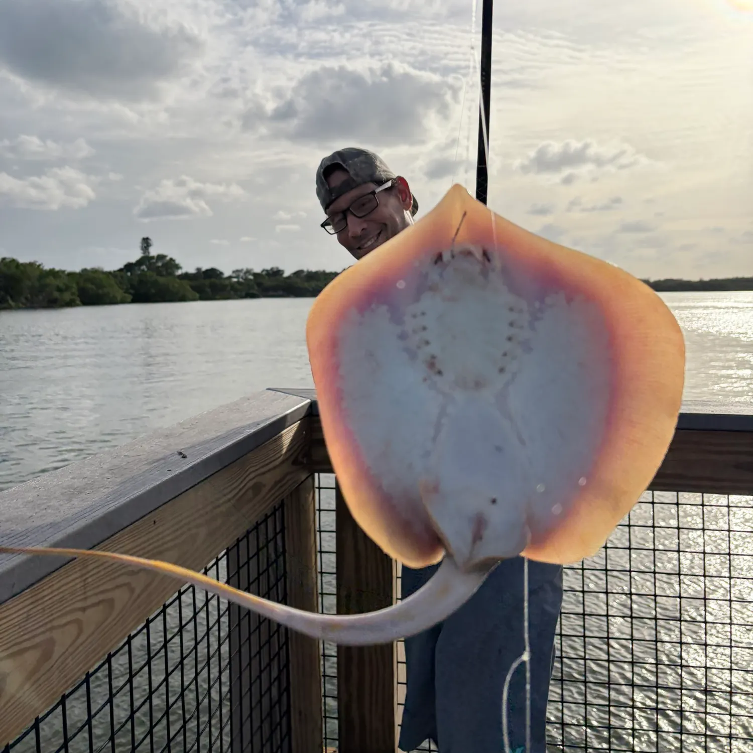 The most recent Atlantic stingray catches on Fishbrain
