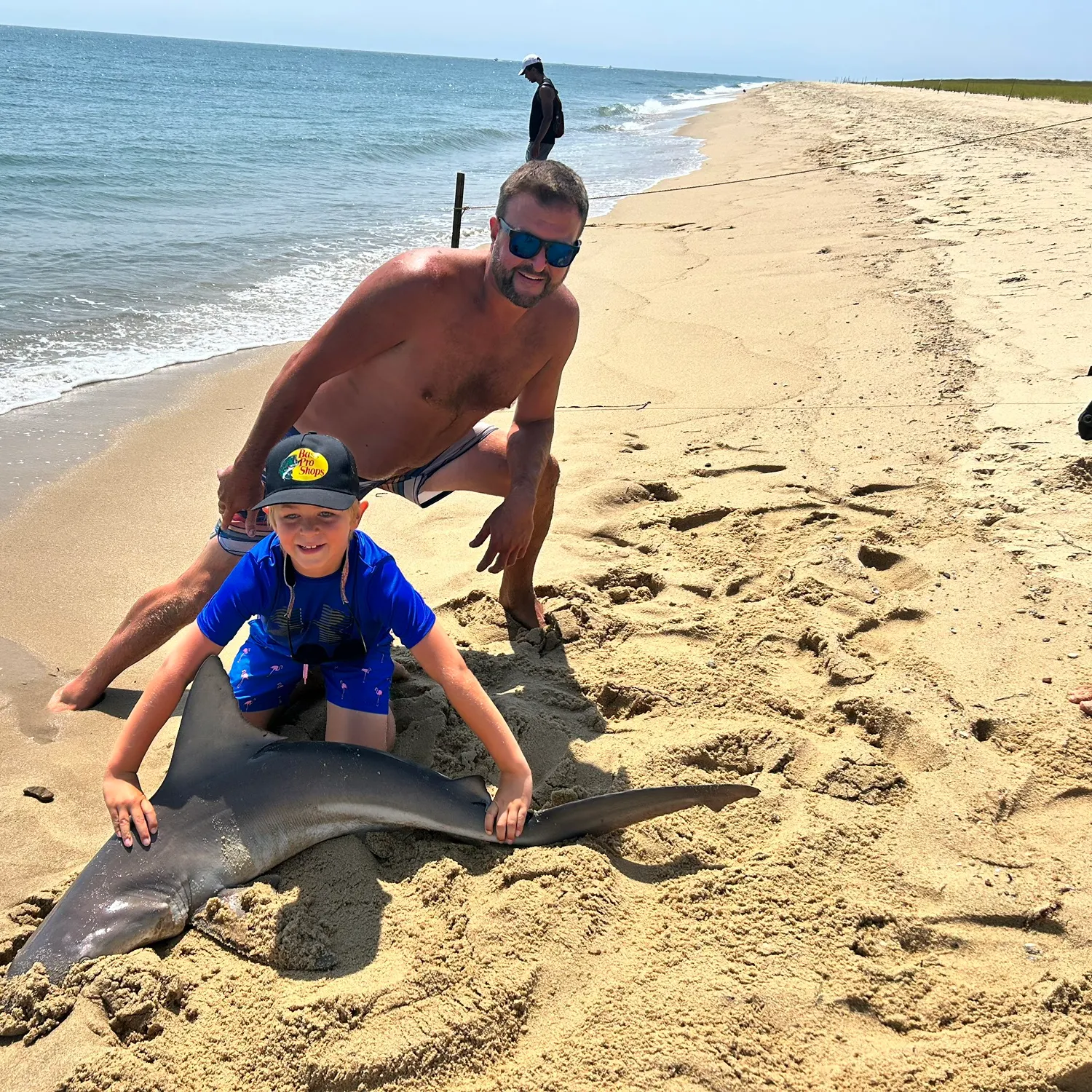 The most recent Sandbar shark catches on Fishbrain