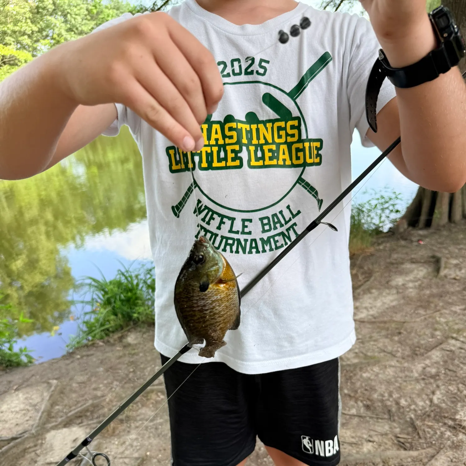 Bluegill caught on Fishbrain