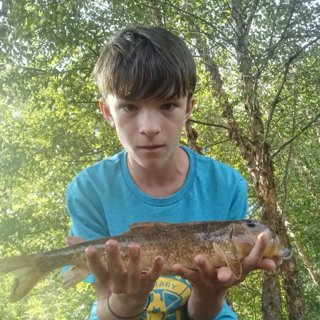 The most recent Northern hogsucker catches on Fishbrain