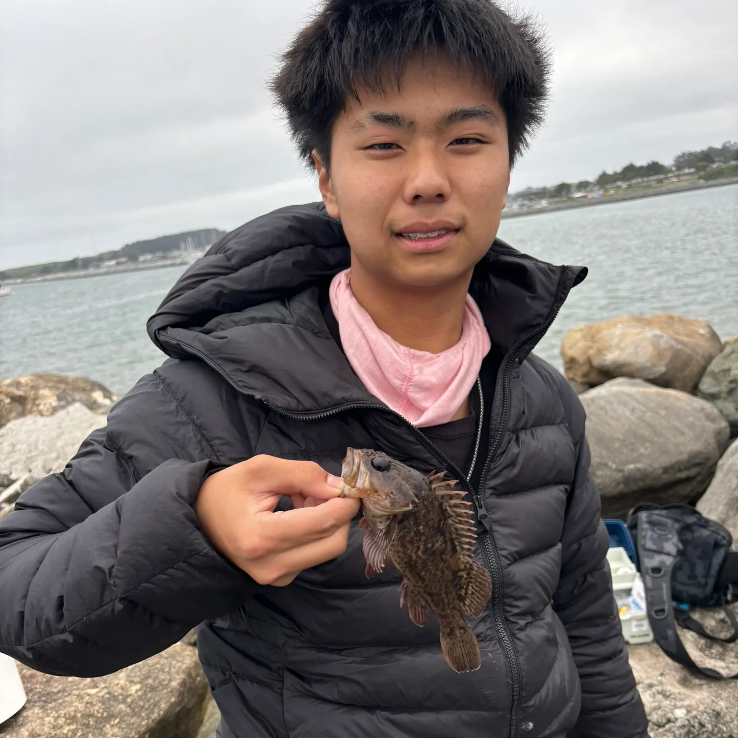 The most recent Grass rockfish catches on Fishbrain