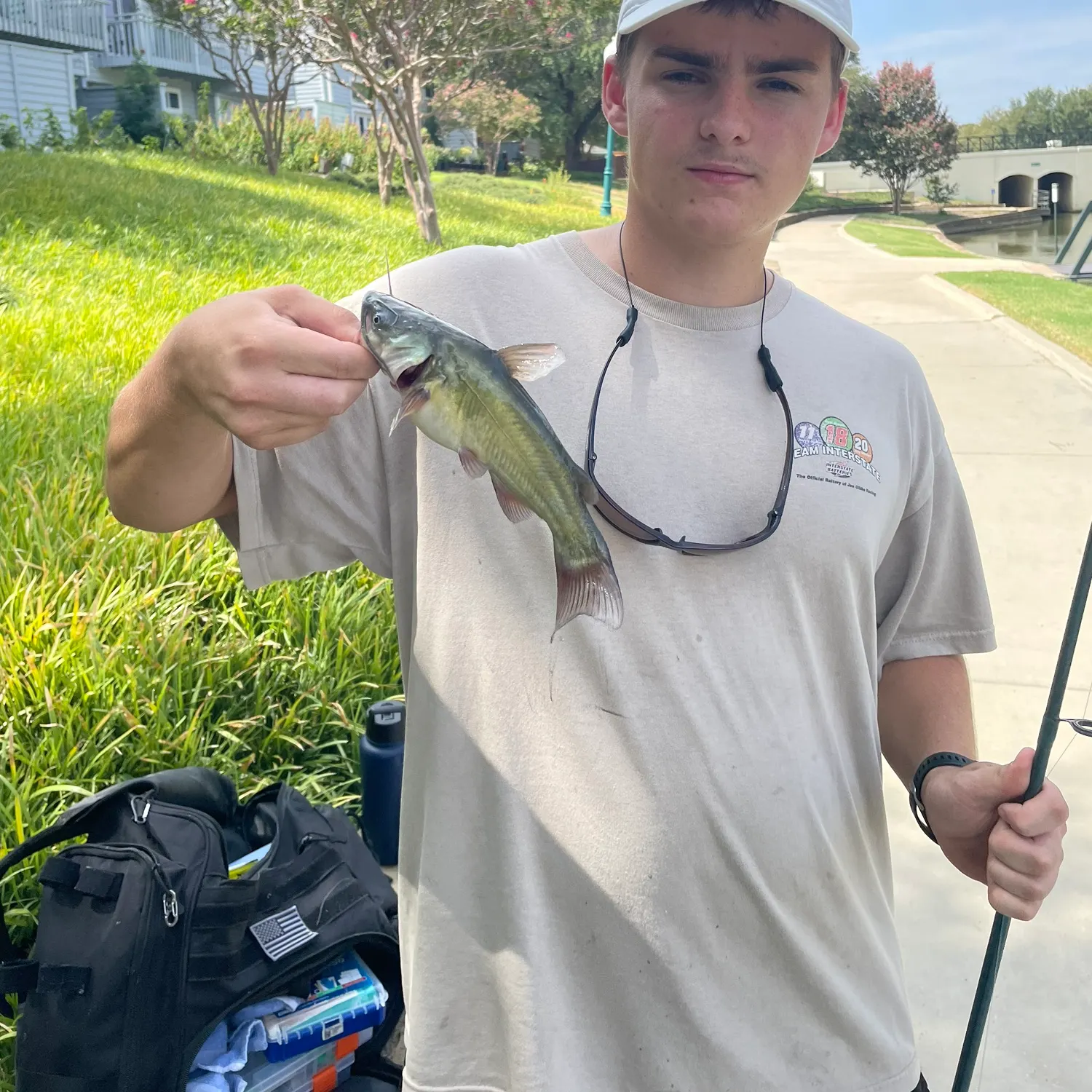 Channel catfish caught on Fishbrain