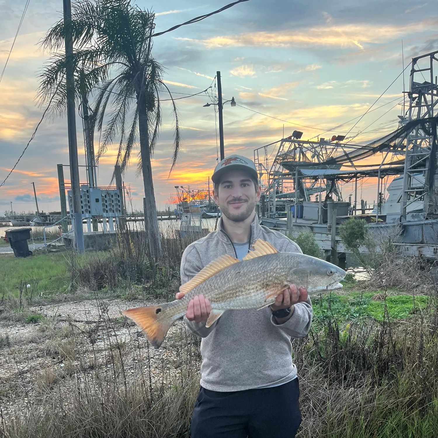 The most recent Red drum catches on Fishbrain
