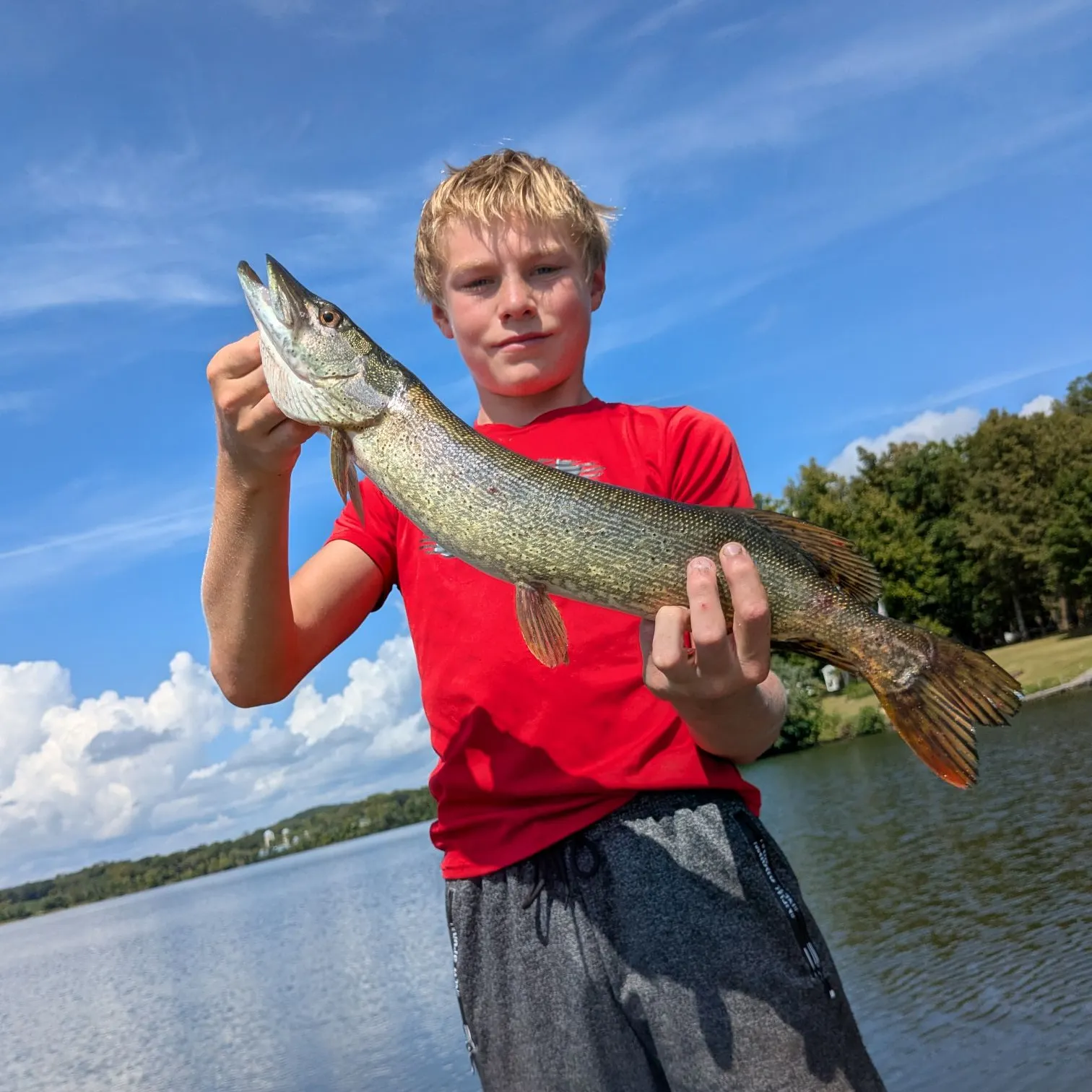The most recent Silver pike catches on Fishbrain
