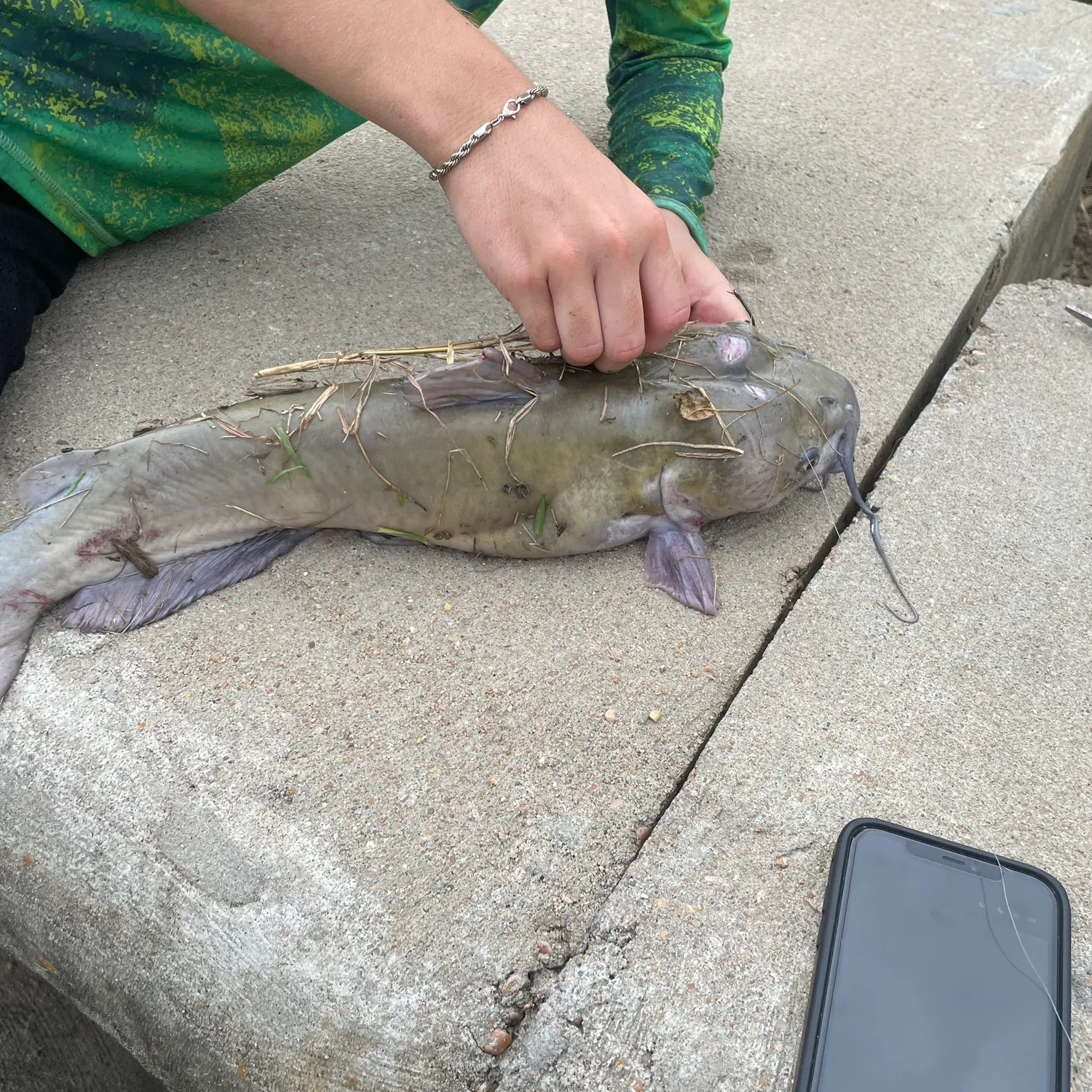 recently logged catches