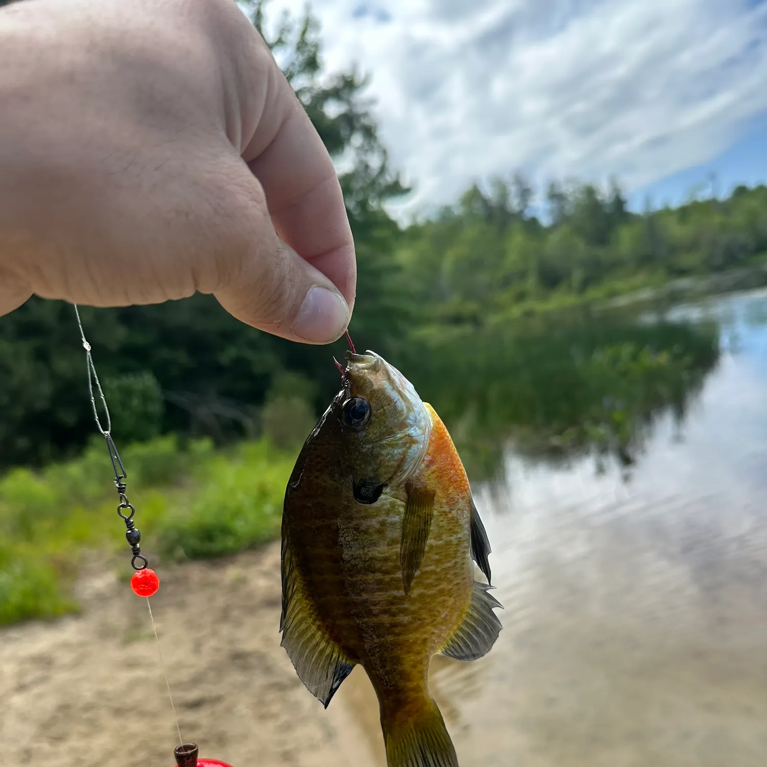 catch