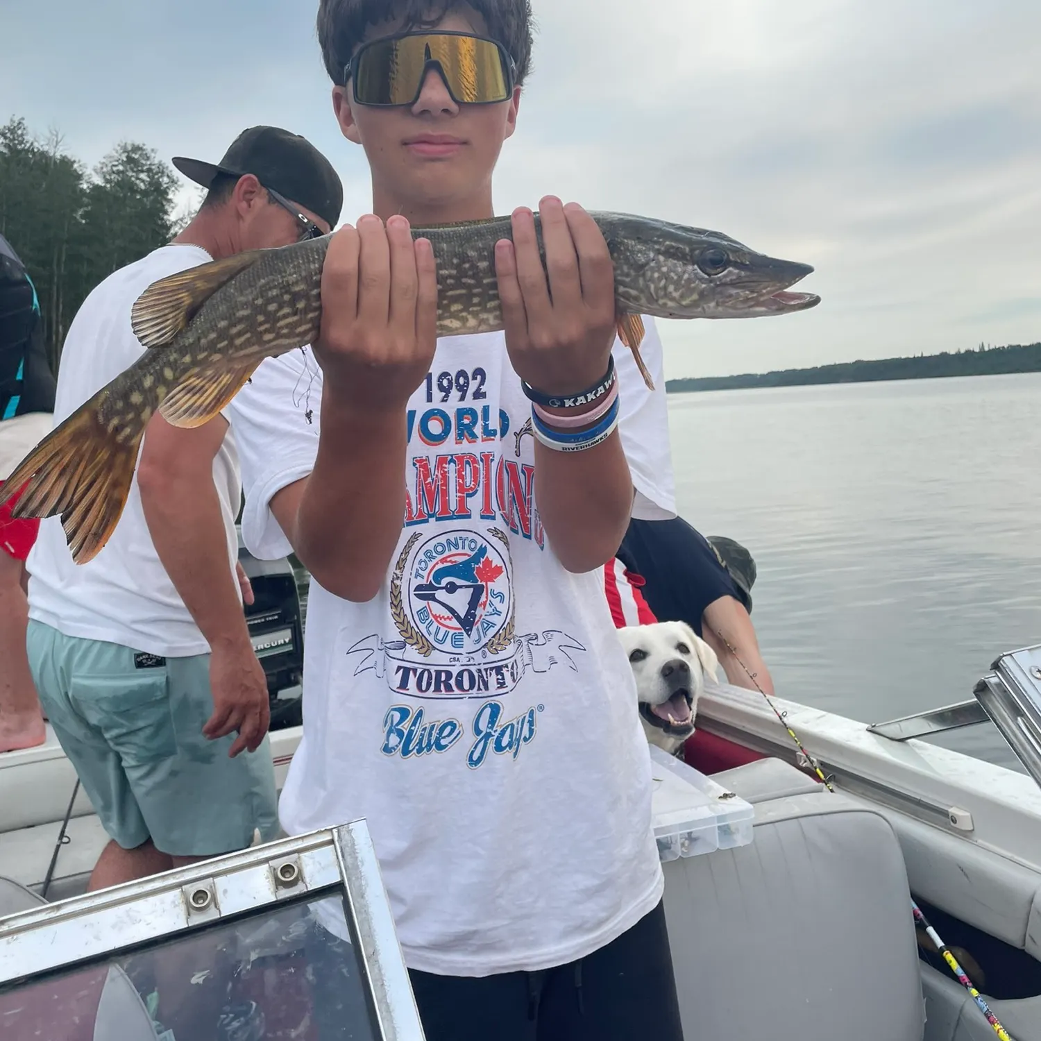 Northern pike caught on Fishbrain